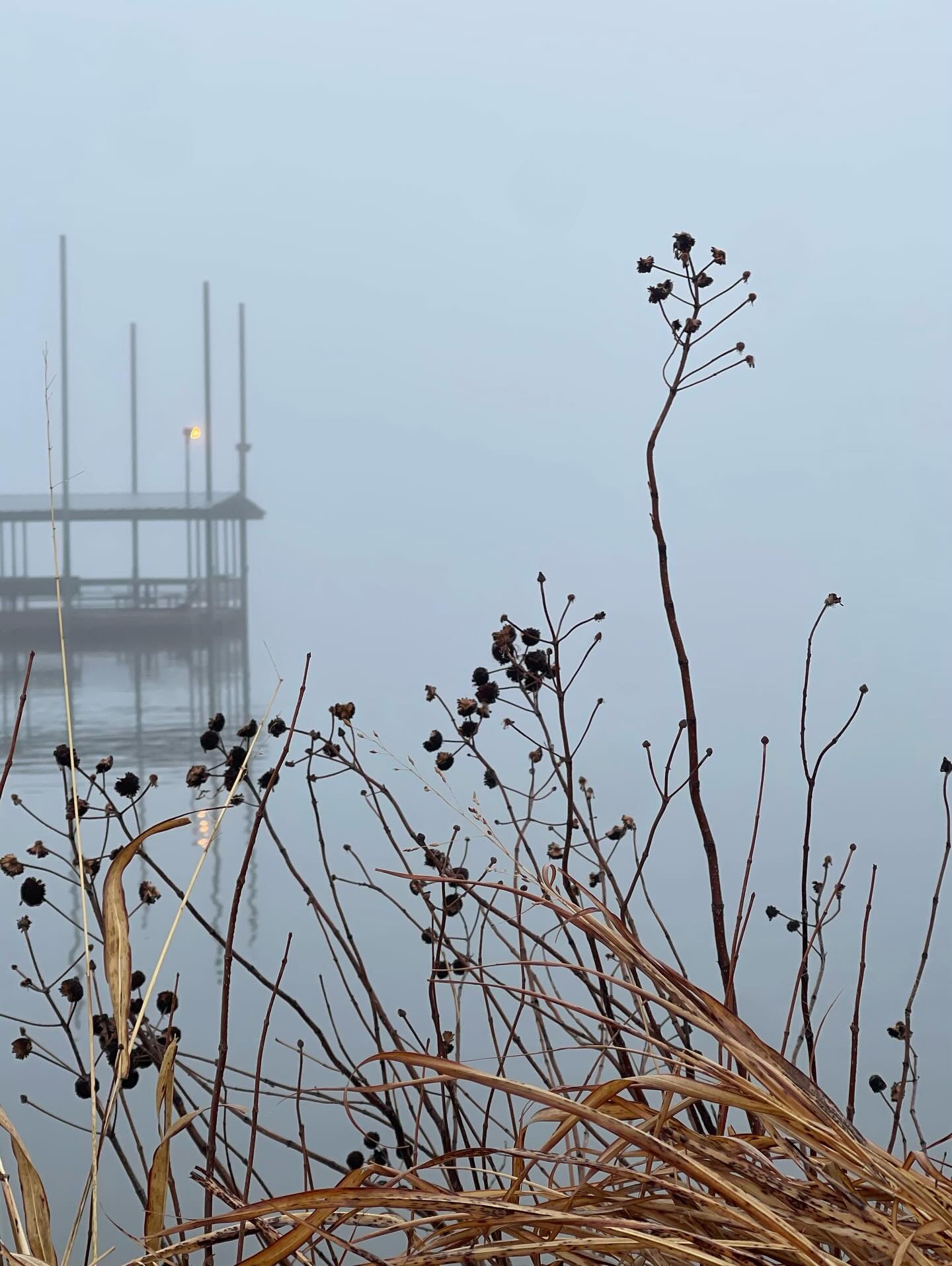 Yesterday was froggy 🐸 outside ☁️