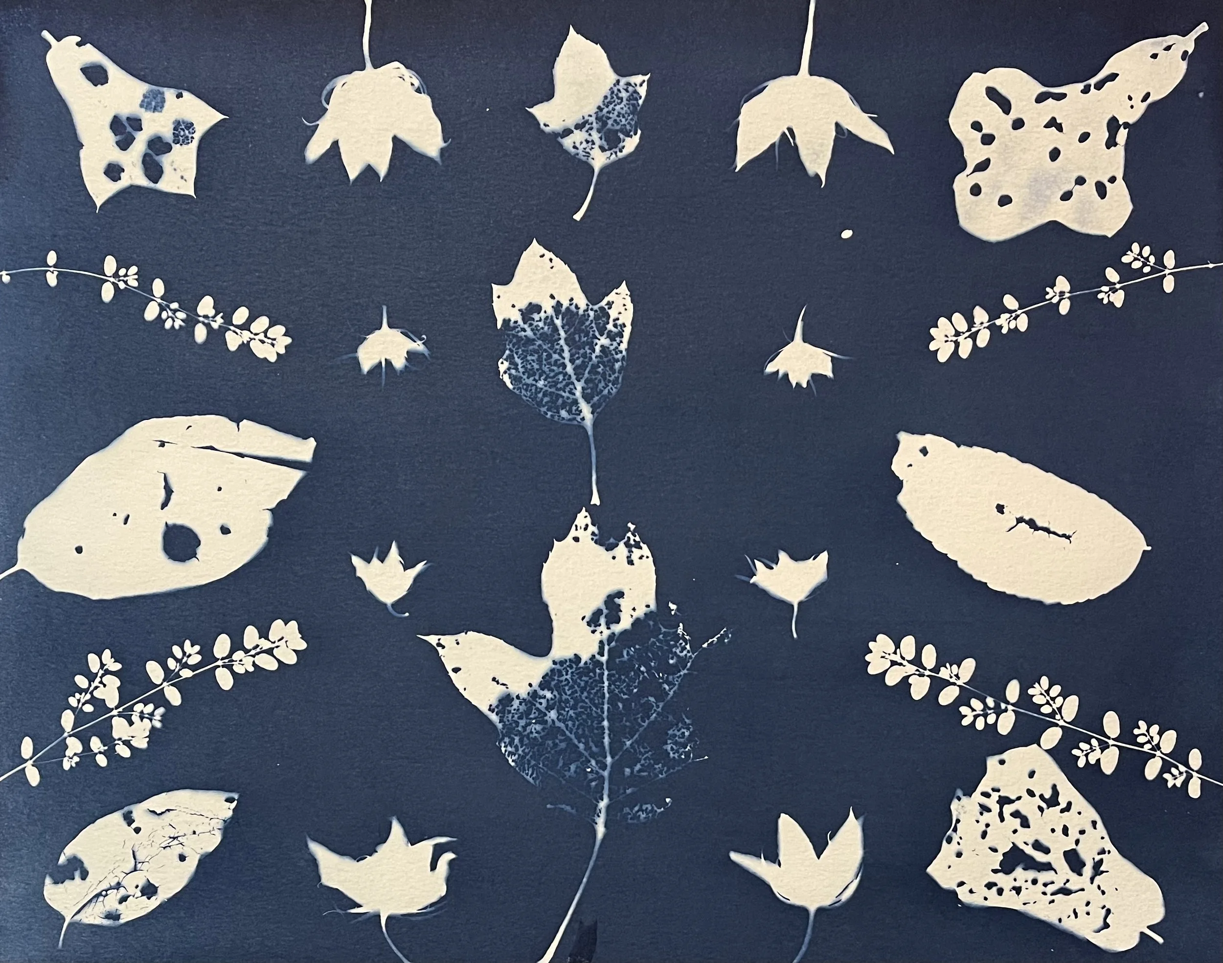 the solitude of leaves without their trees