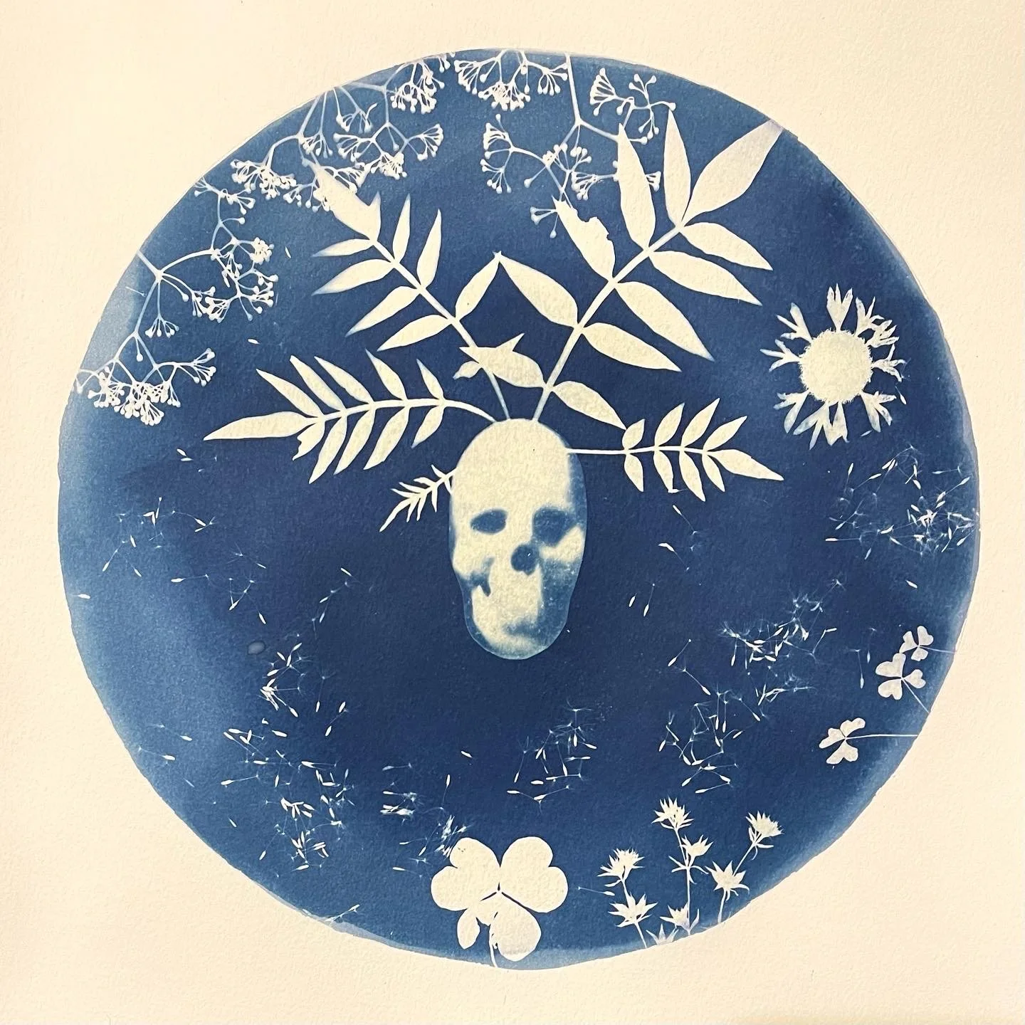 11EB640E-1509-4227-9365-349D2F8EE914.JPG