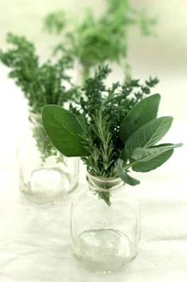 Image via: laraferroni.com