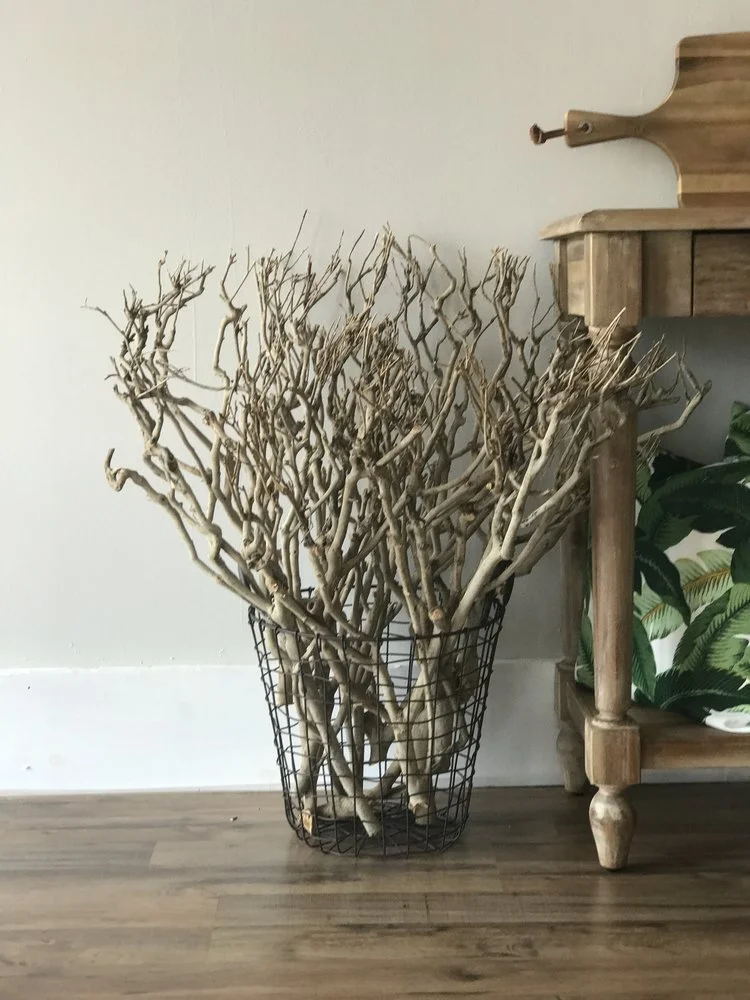 Willa Tea Tree Branch