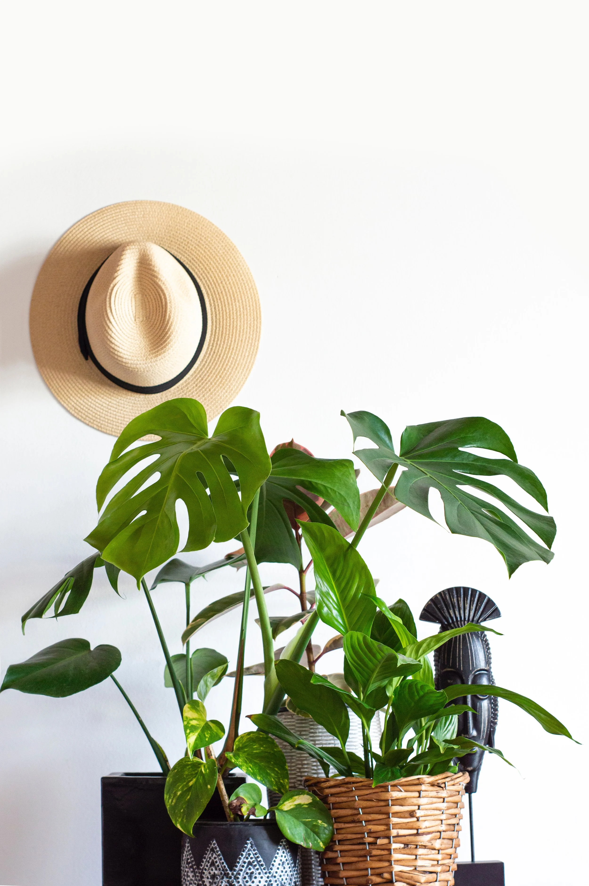 Current Favorites -Madewell Spring 2022
