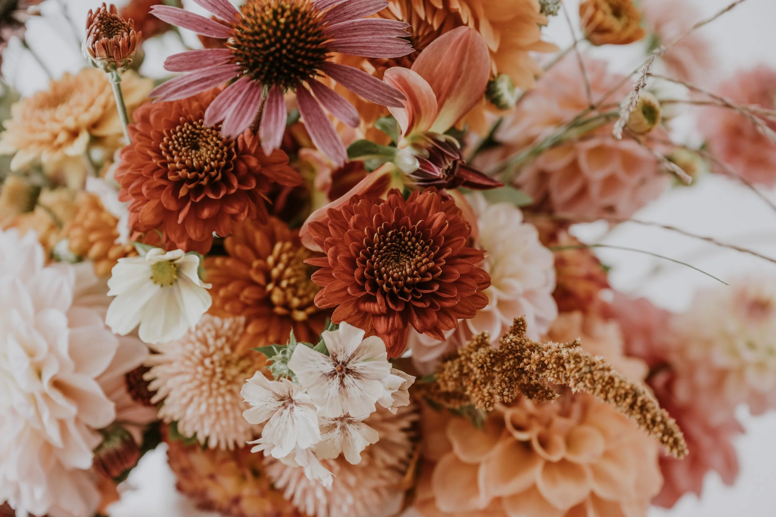 In Full Bloom: Becoming One's Best Self 