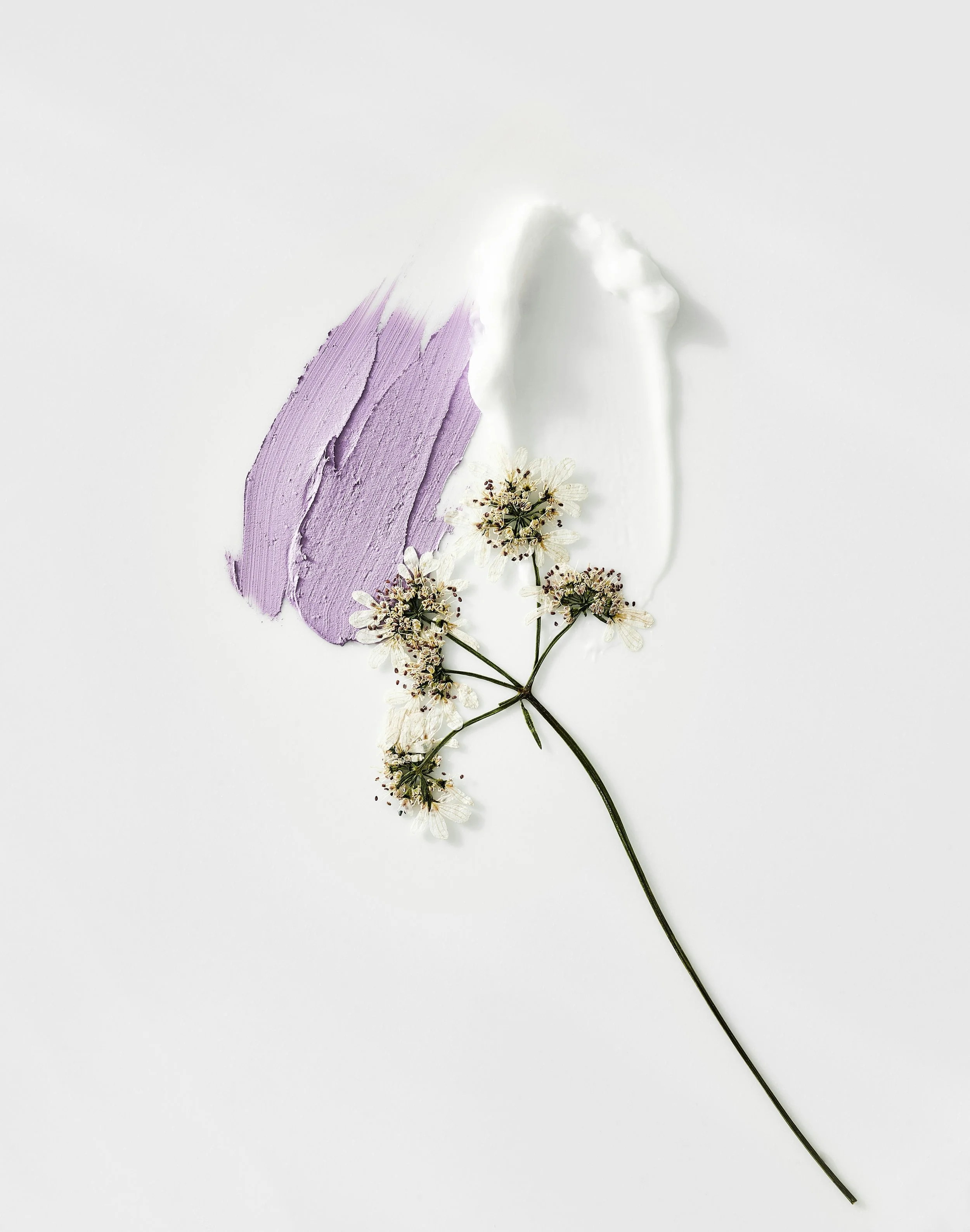 Friday Favorites 01/23/25  