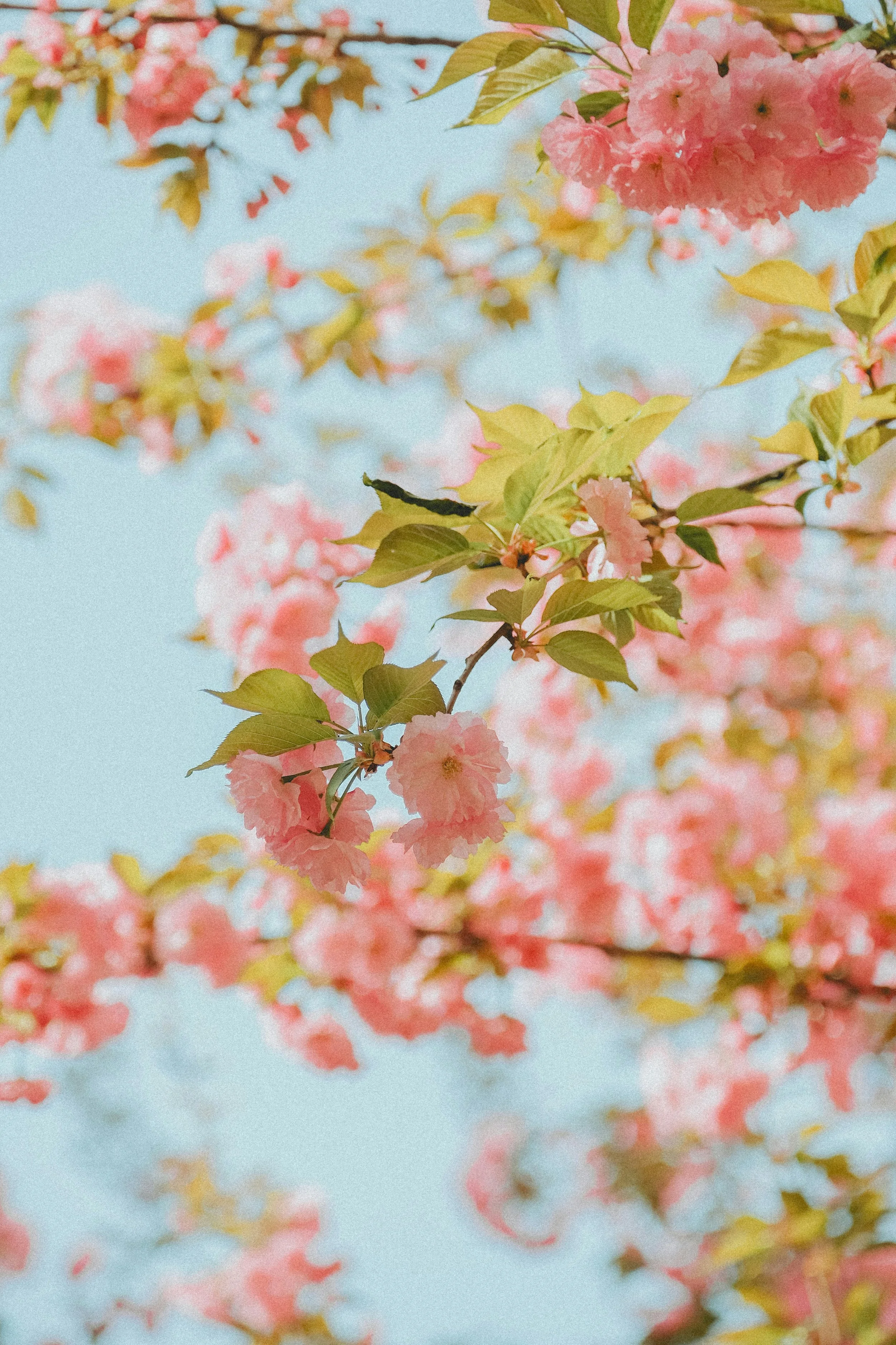 Friday Favorites 03/27/26