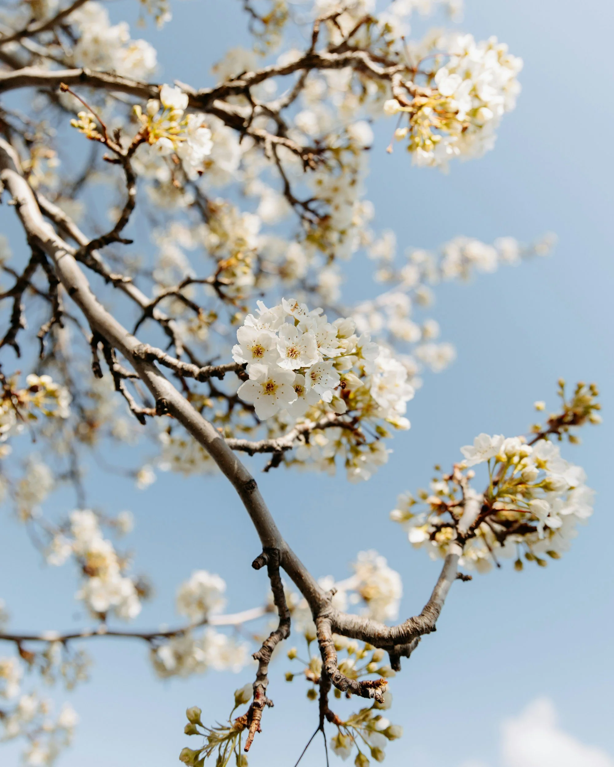 Friday Favorites 04/17/26 