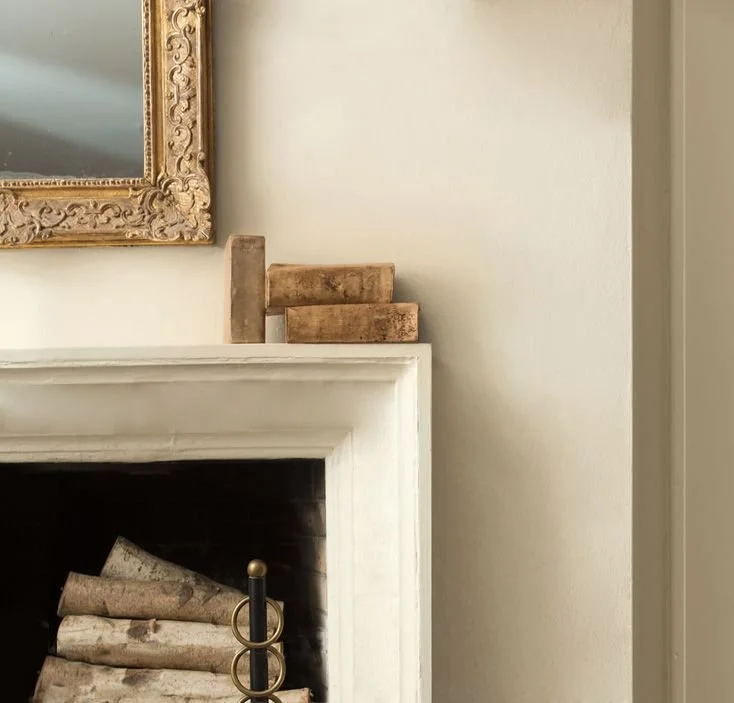 Ask Abigail Amira: Our Favorite Mushroom Hues