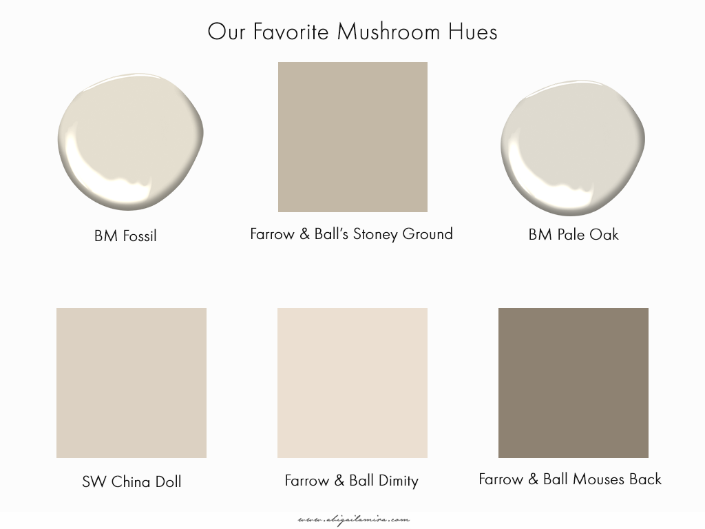 Ask Abigail Amira: Our Favorite Mushroom Hues