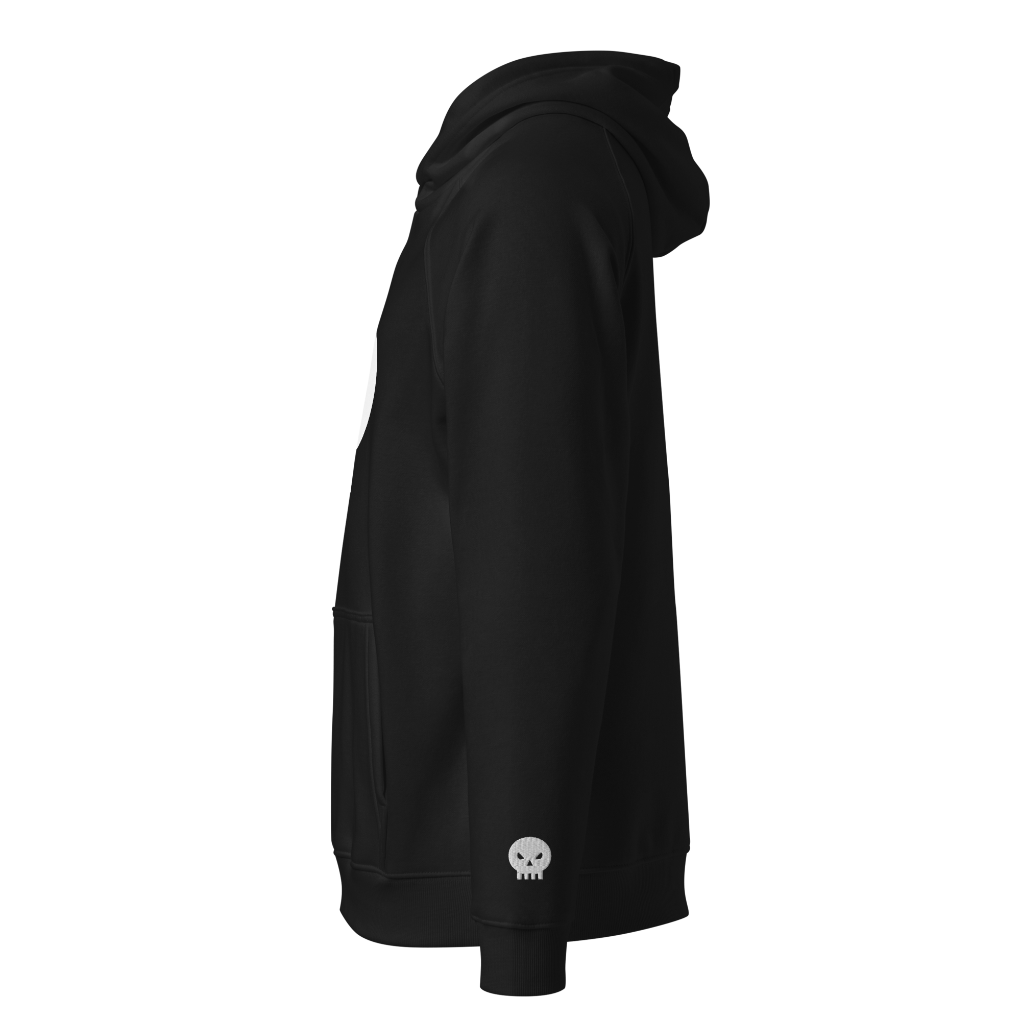 unisex-eco-raglan-hoodie-black-left-69ecdc7c1188b.png