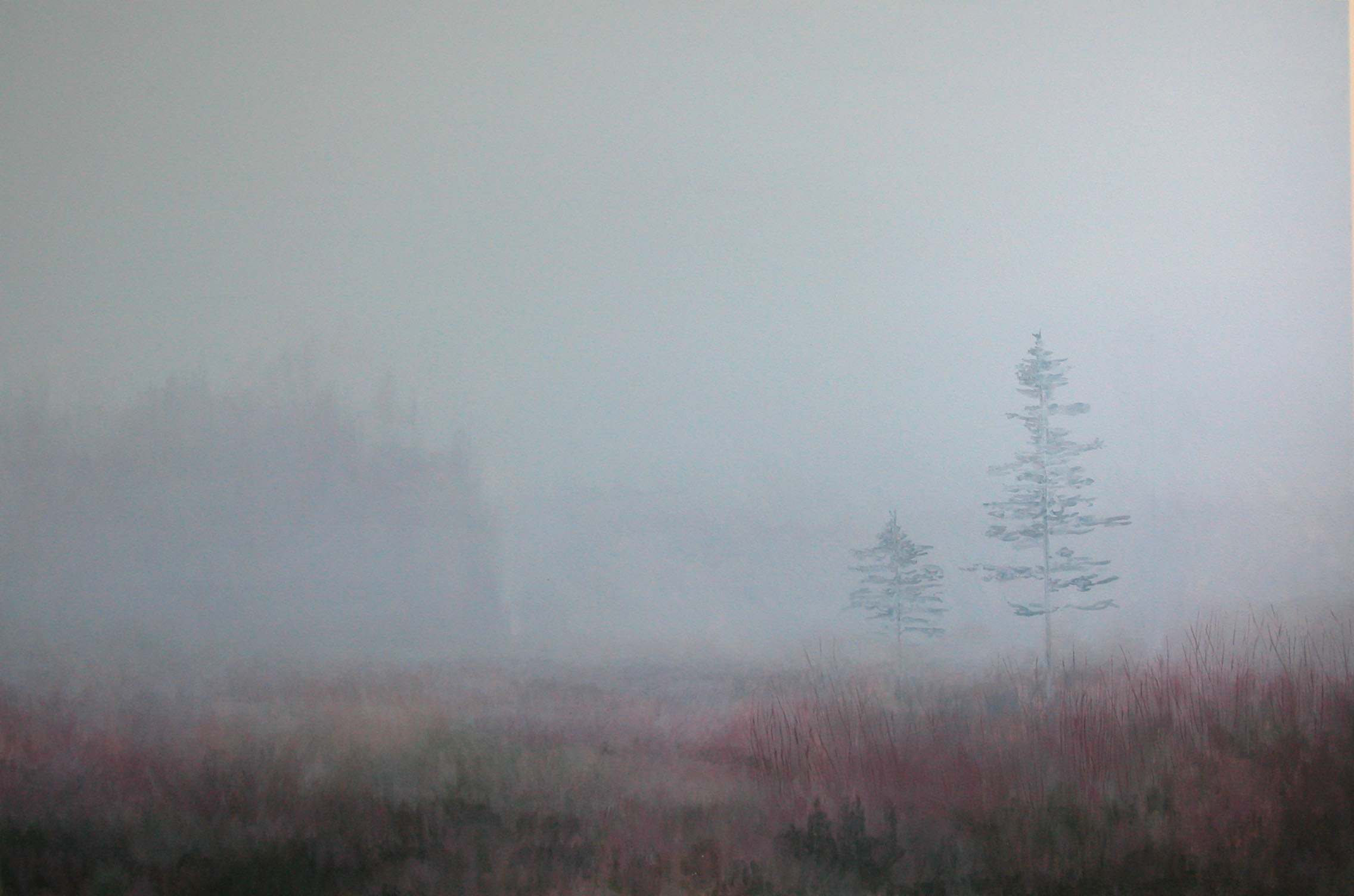 Mist&Forest Acylic on Canvas 60"x40"(Sold)