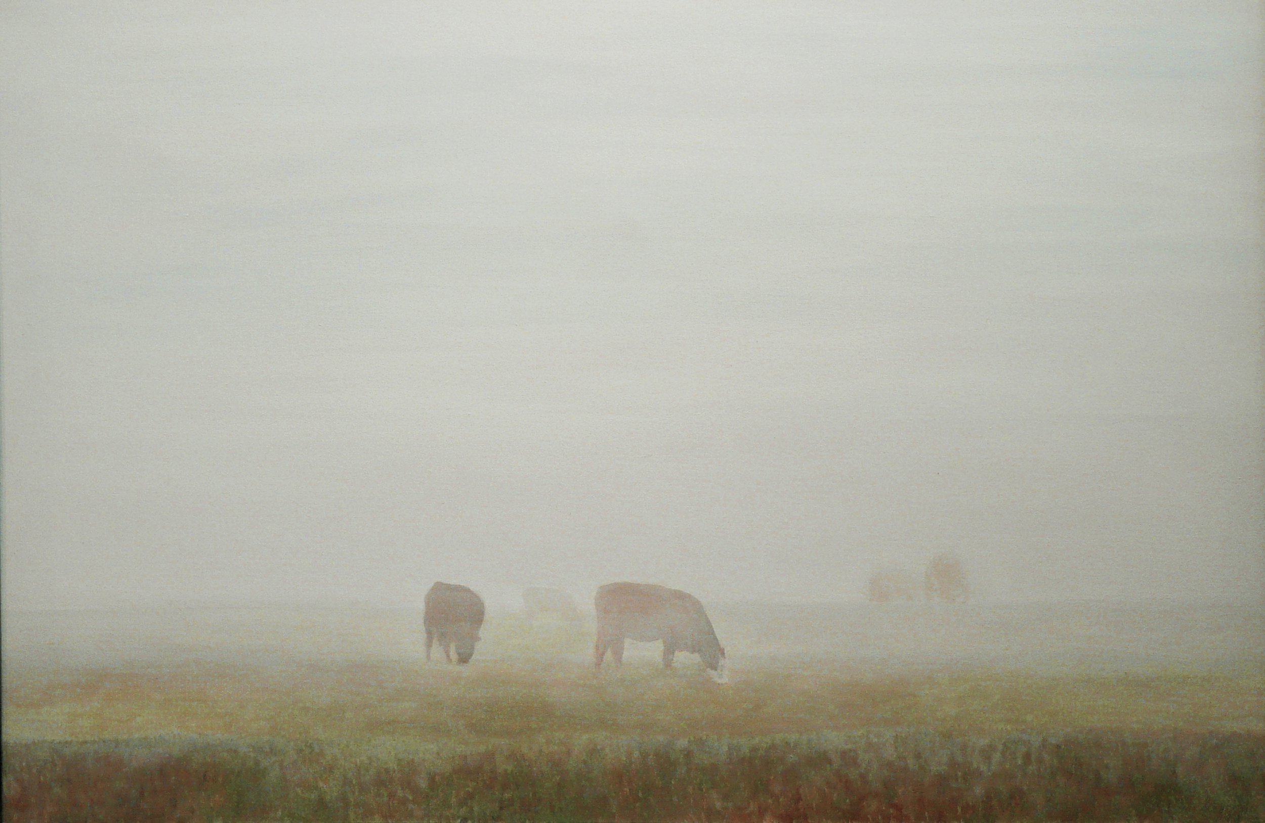 Cows & Mist Acrylic on Canvas 60"x40"
