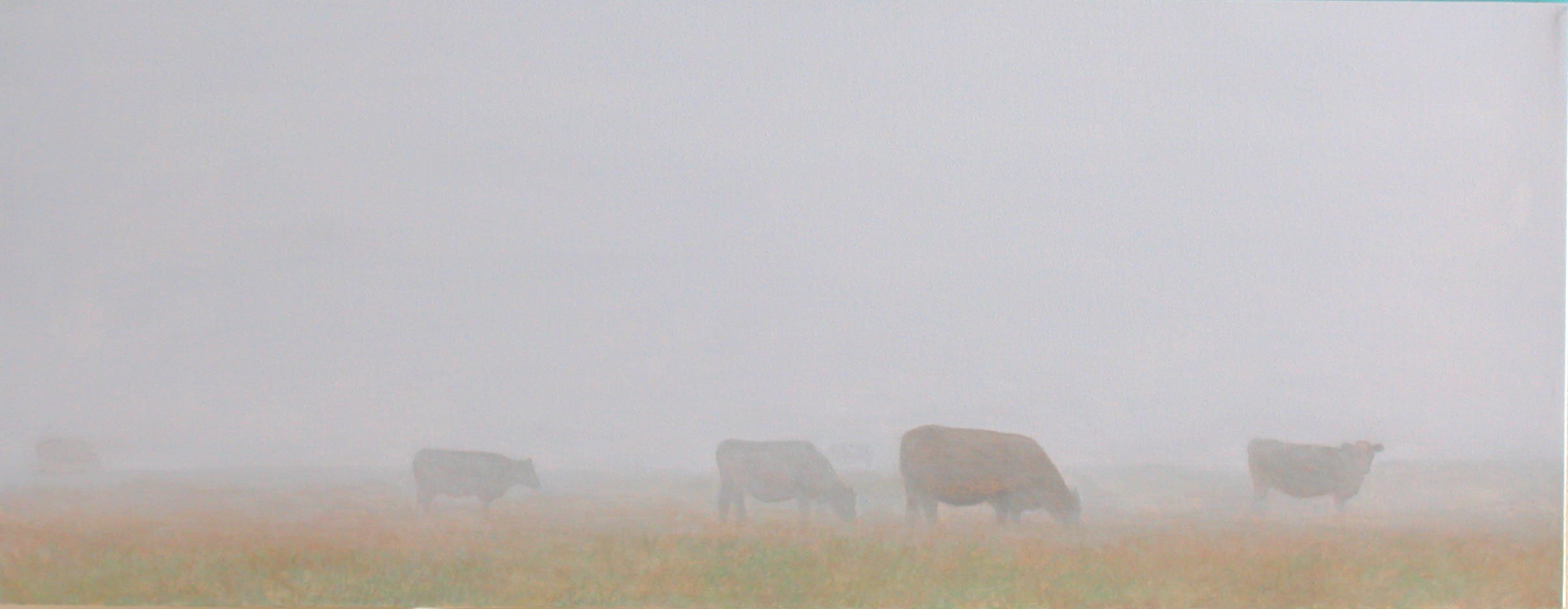 Cows & Mist 2 Acrylic on Canvas 60"x30"