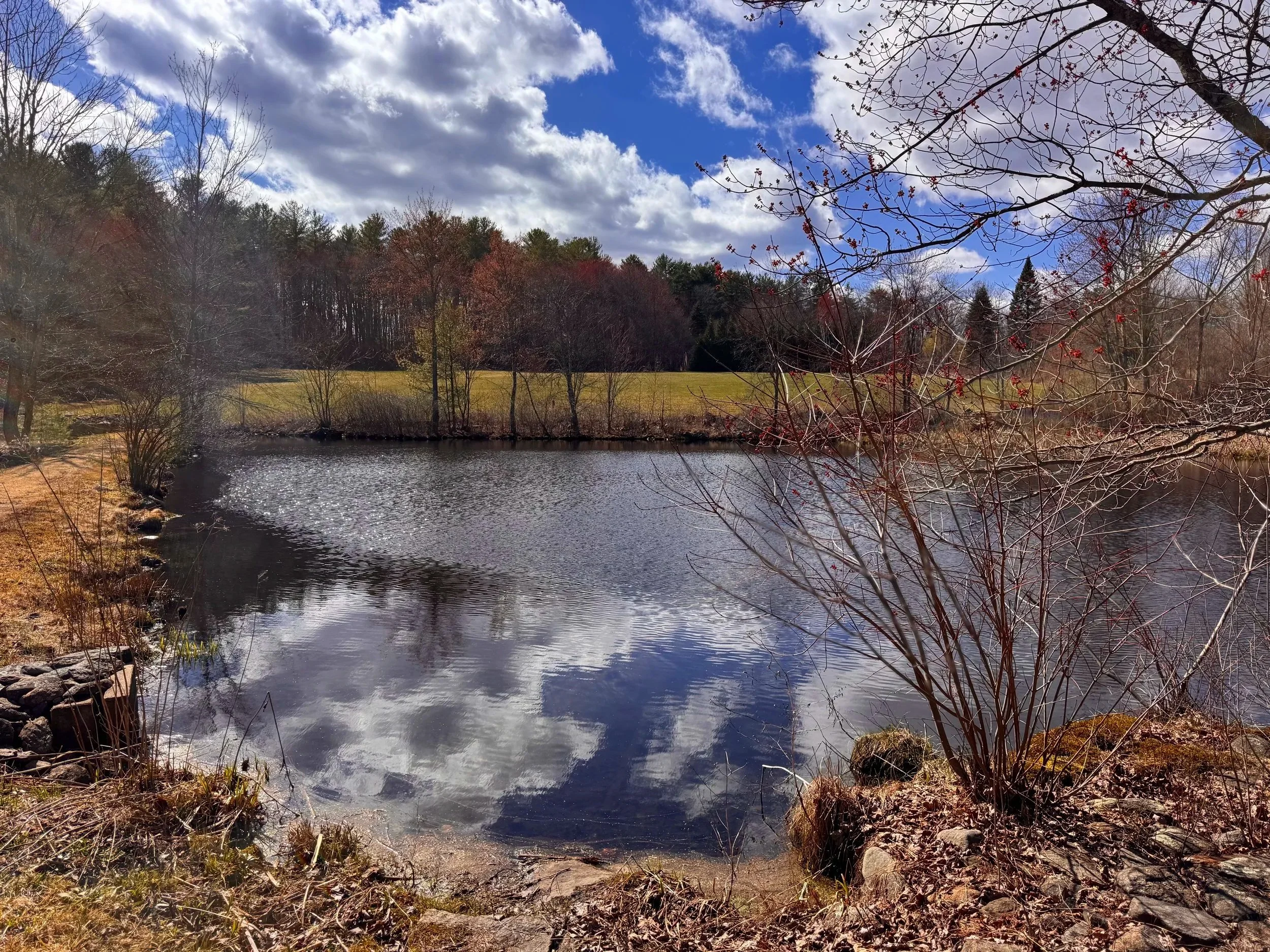 Sky+and+Pond.jpg