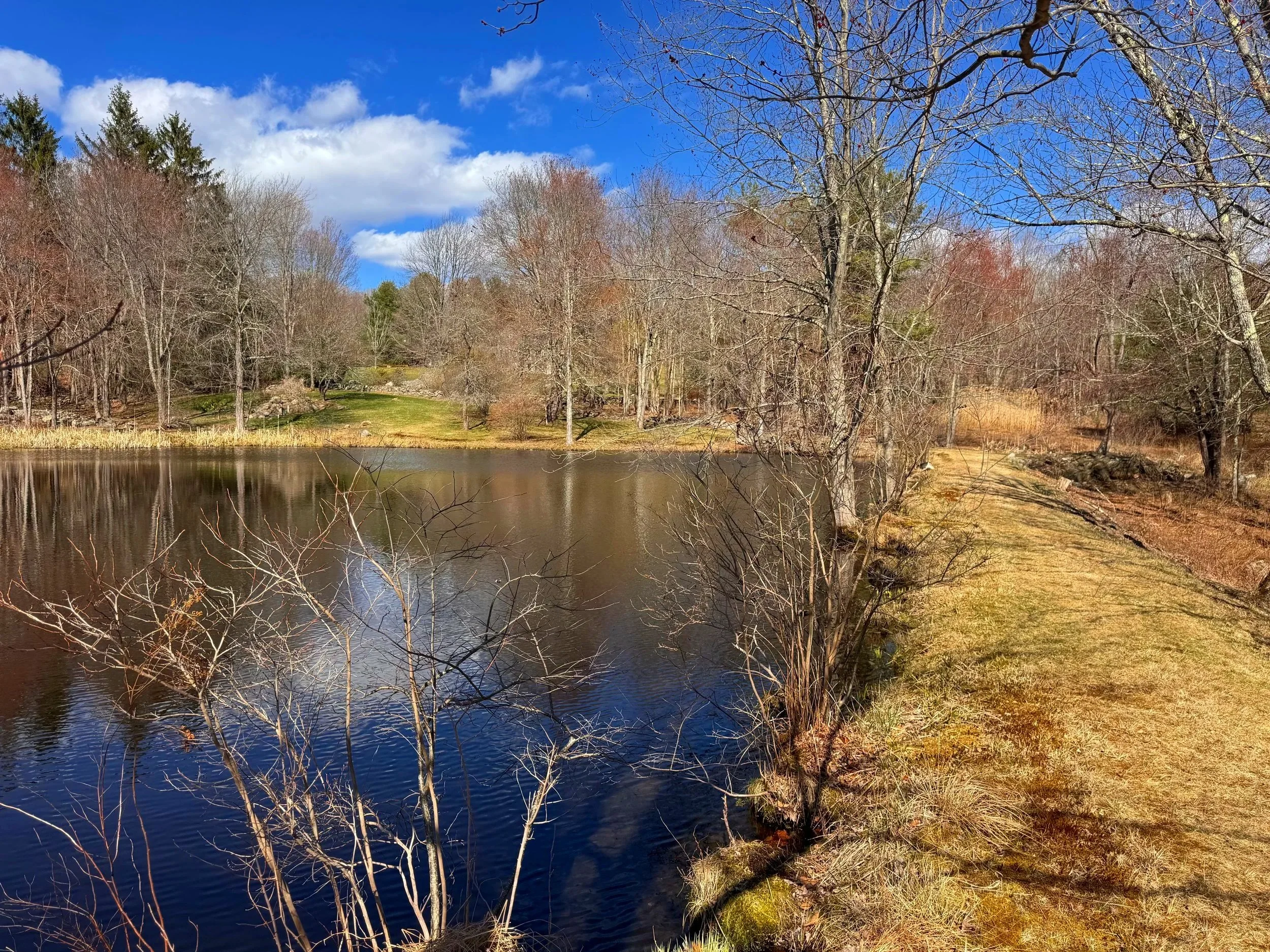 Walk+from+Pond.jpg