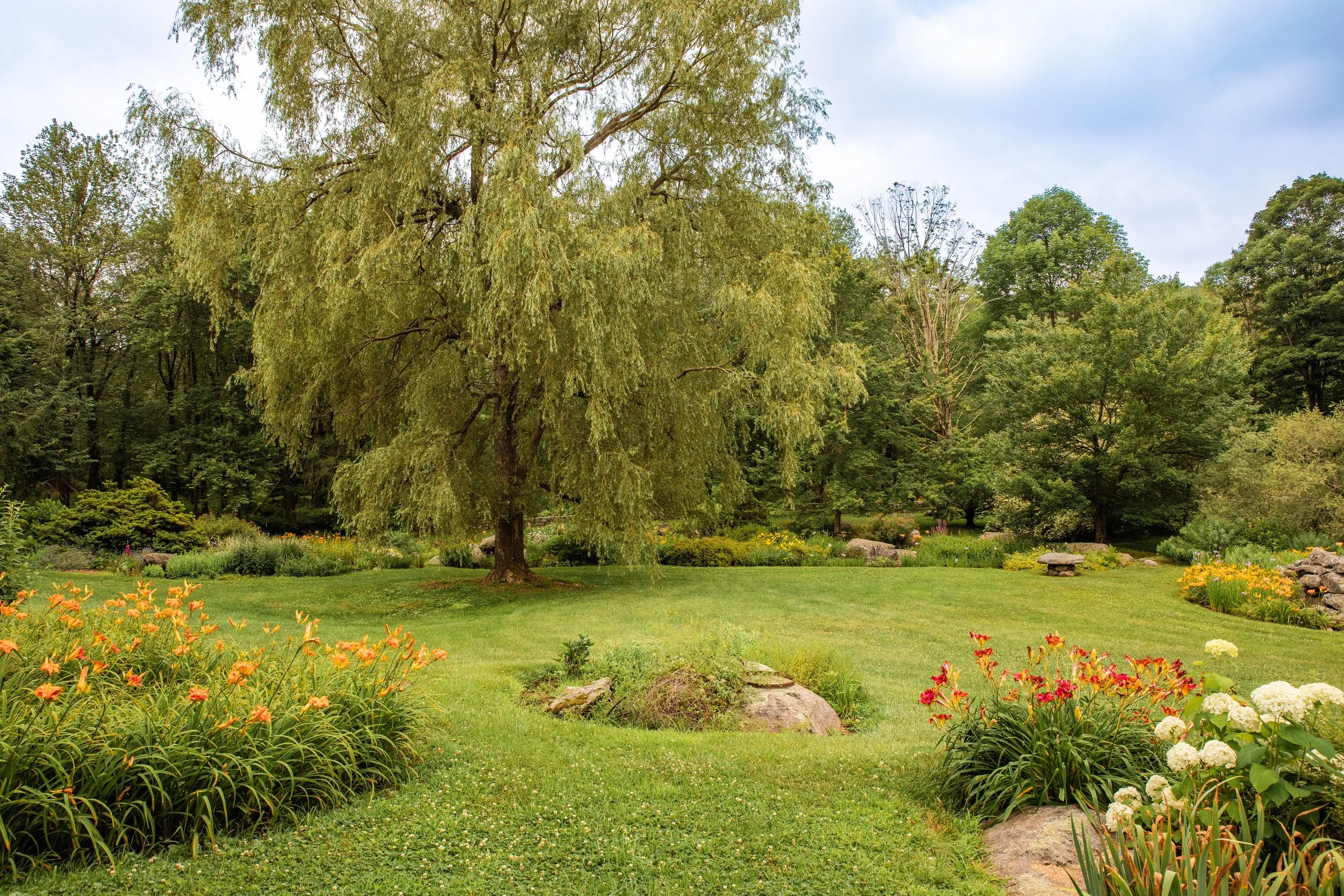 pretty garden tree WEB.jpeg