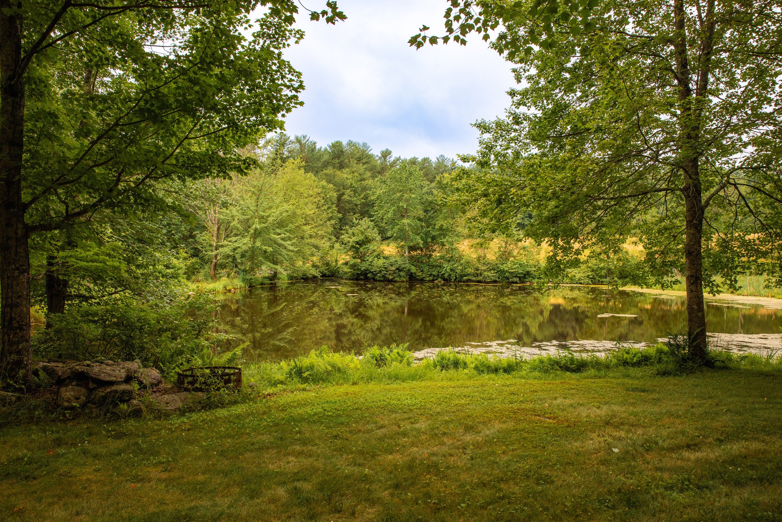 pond 1 WEB.jpeg