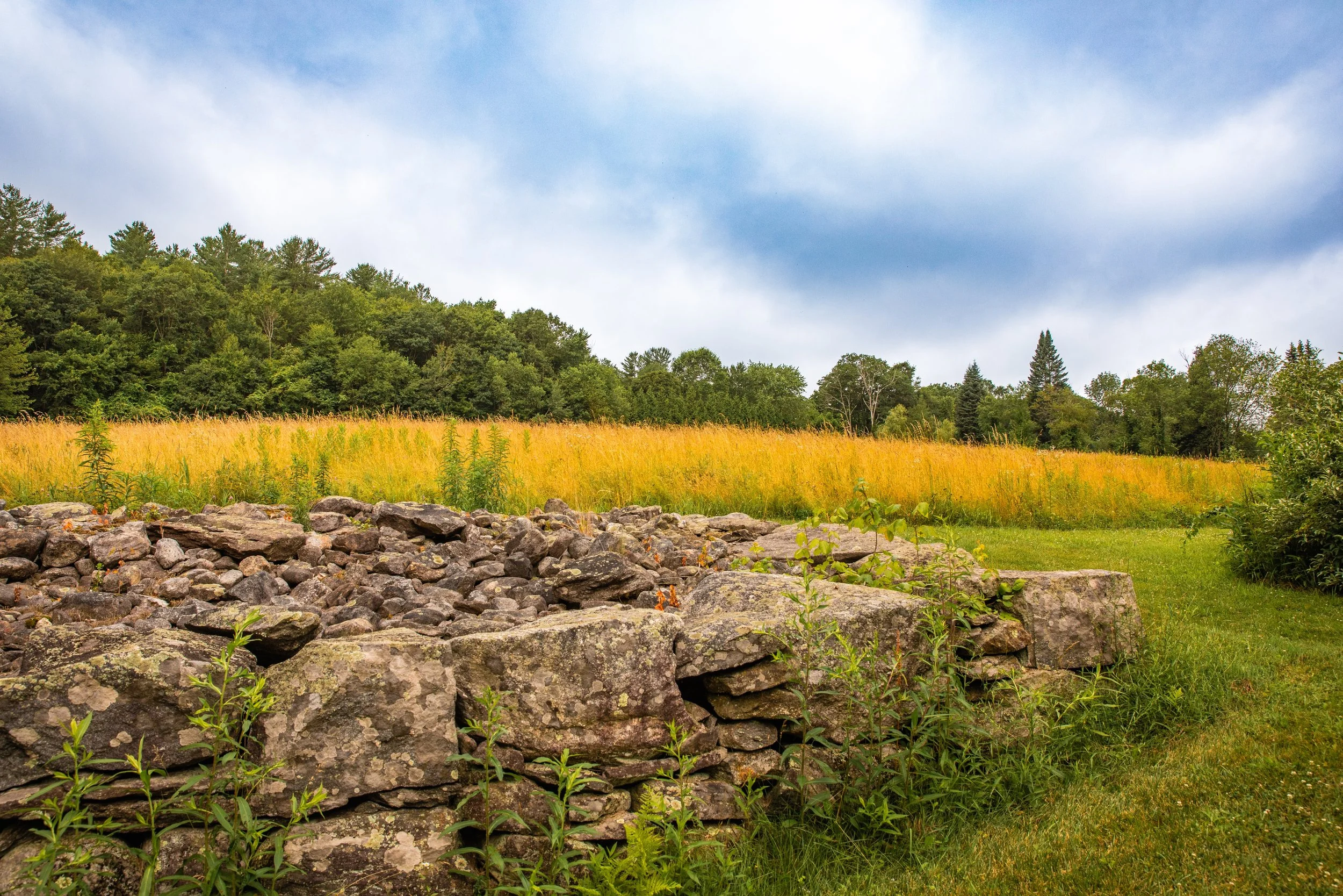 field with rocks WEB.jpeg