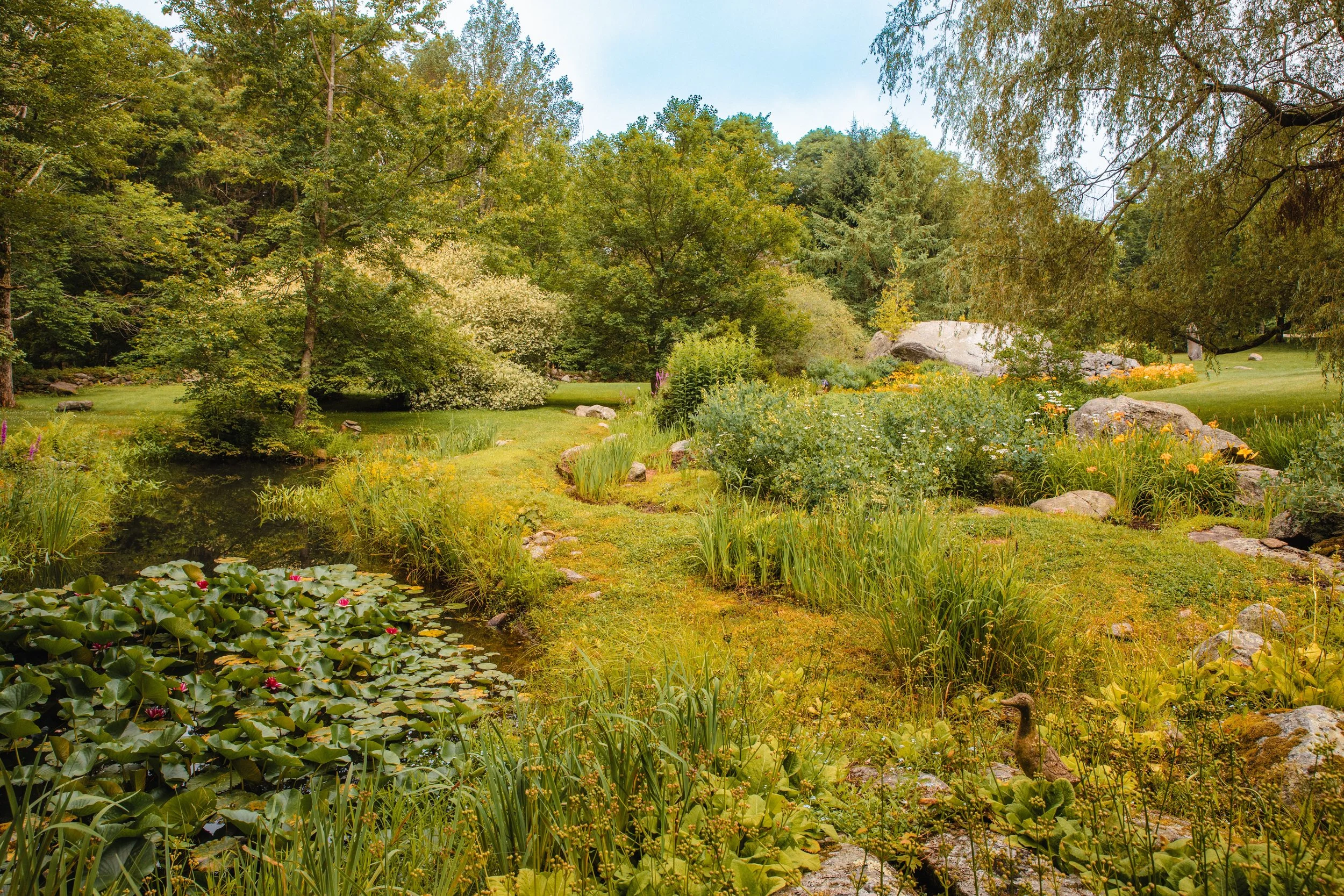 gardens with pond WEB.jpeg