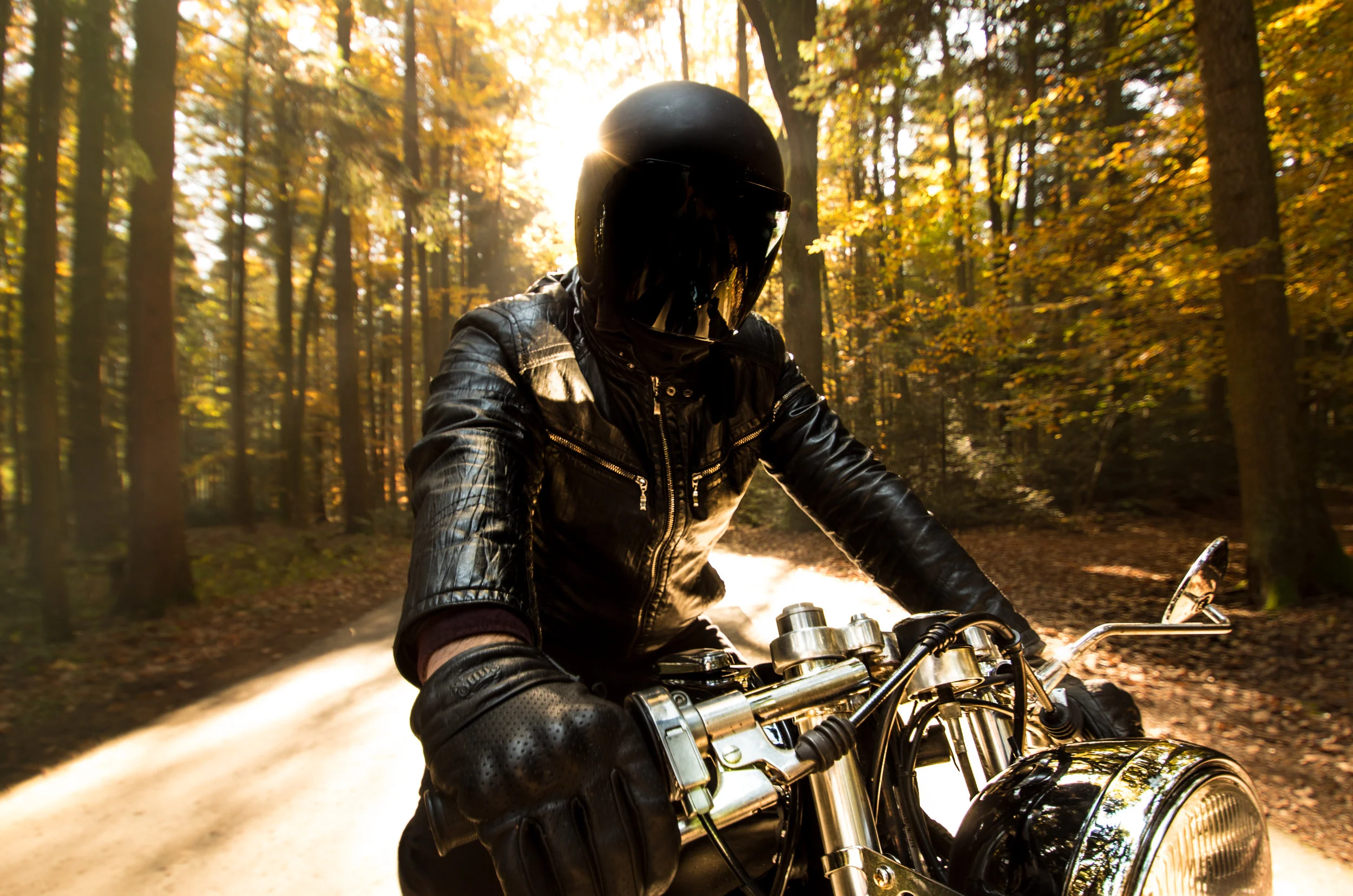 DANIEL / RETROFIT COLLECTIVE II (Copy)