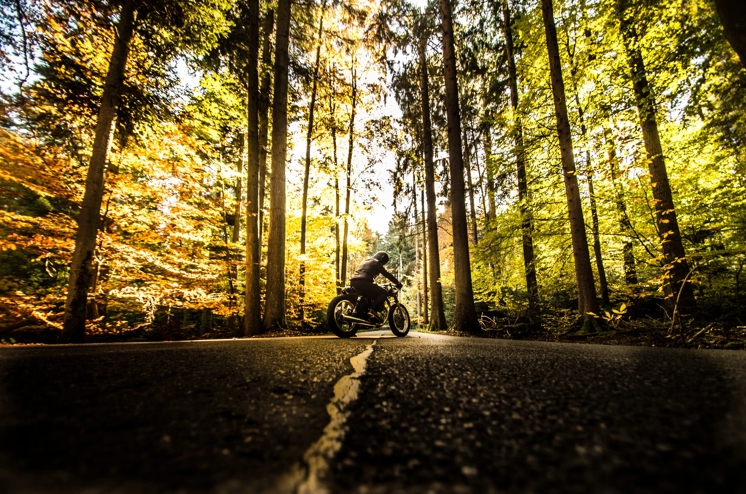 DANIEL / RETROFIT COLLECTIVE (Copy)