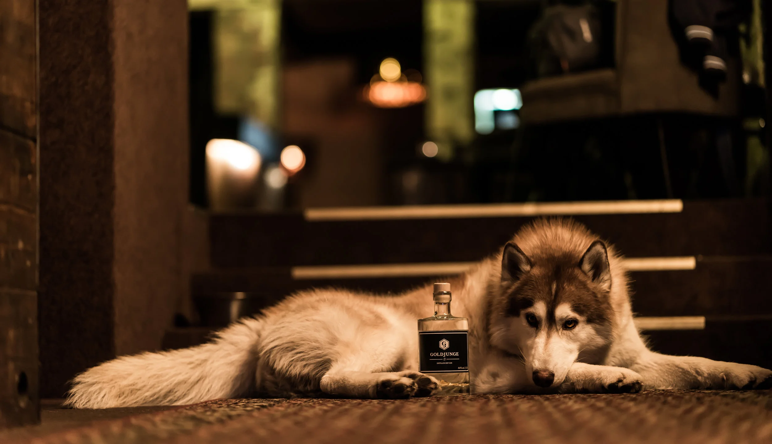 GOLDJUNGE GIN MEETS HOME MUNICH (Copy)