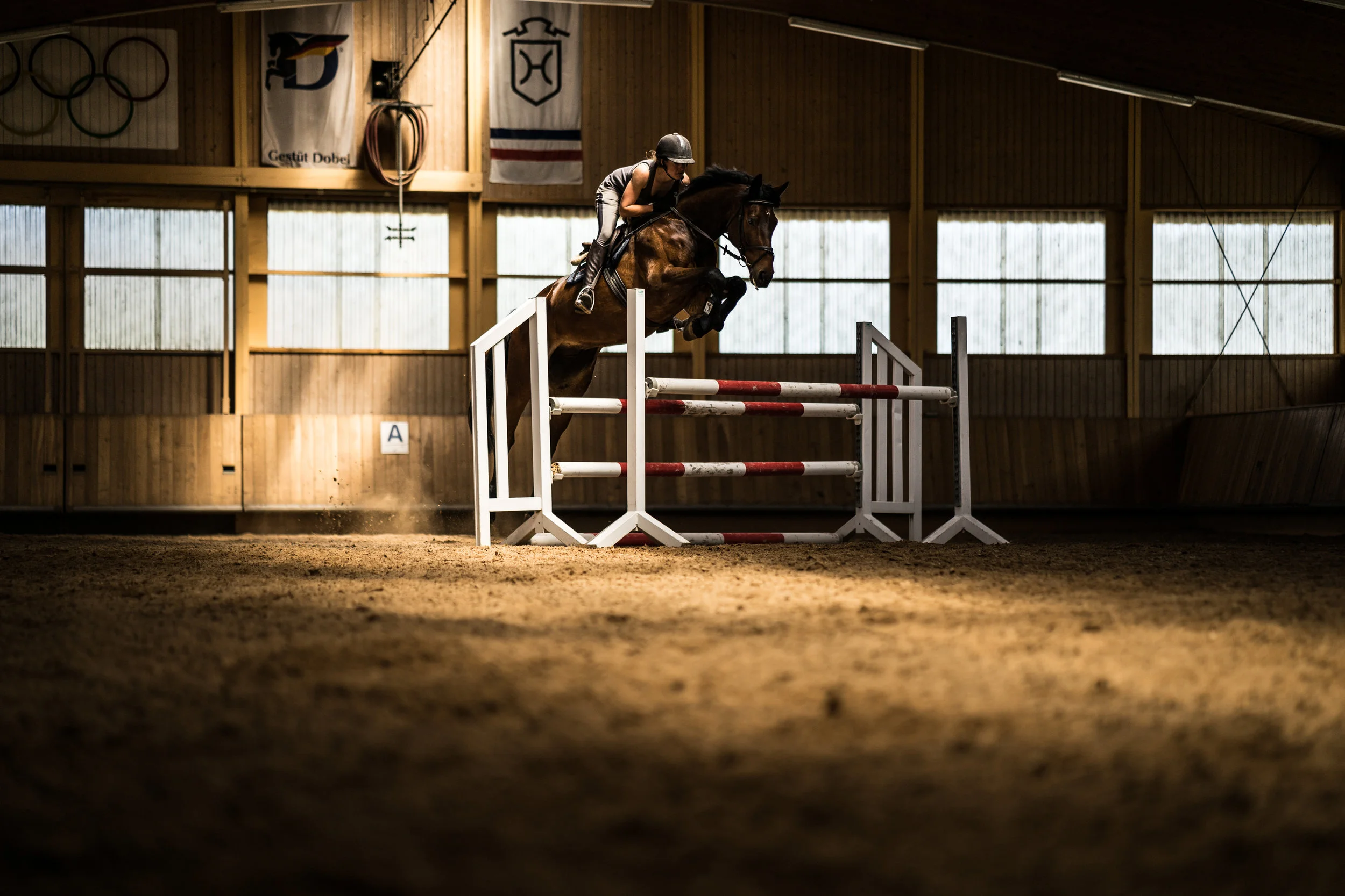 GESTÜT DOBEL III (Copy)