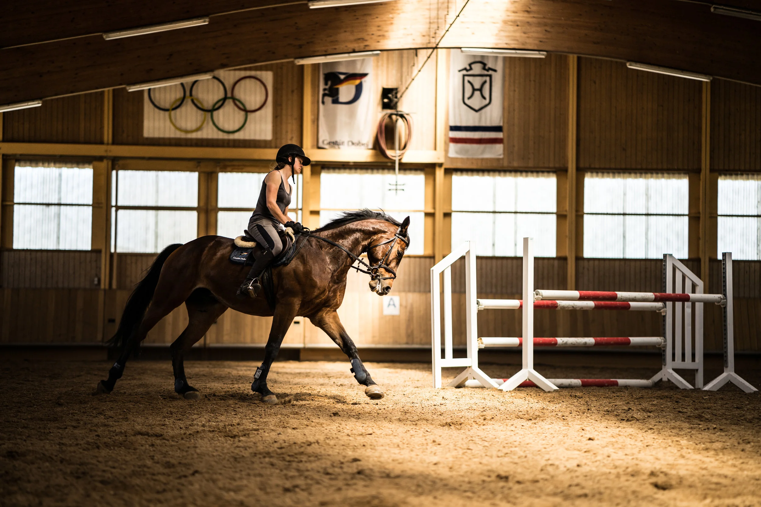 GESTÜT DOBEL (Copy)