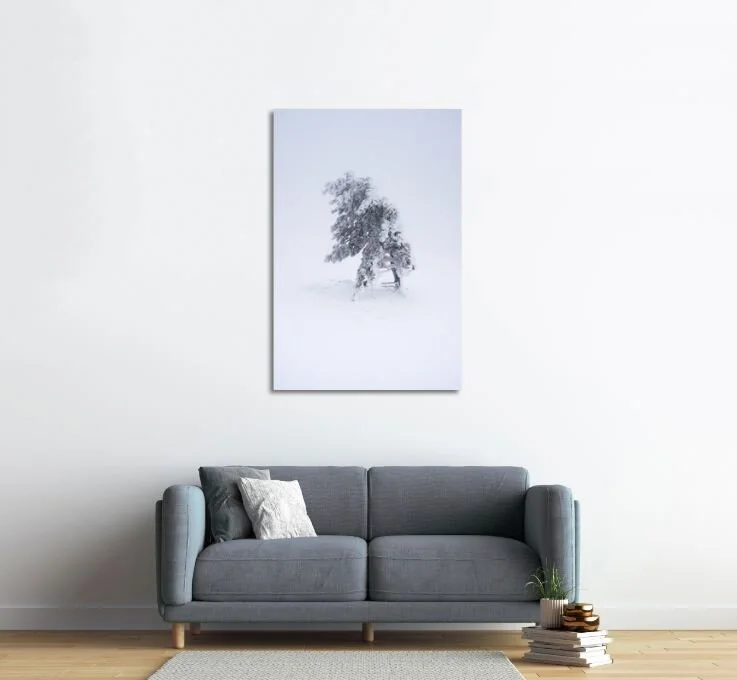 Illustration example ©photocircle