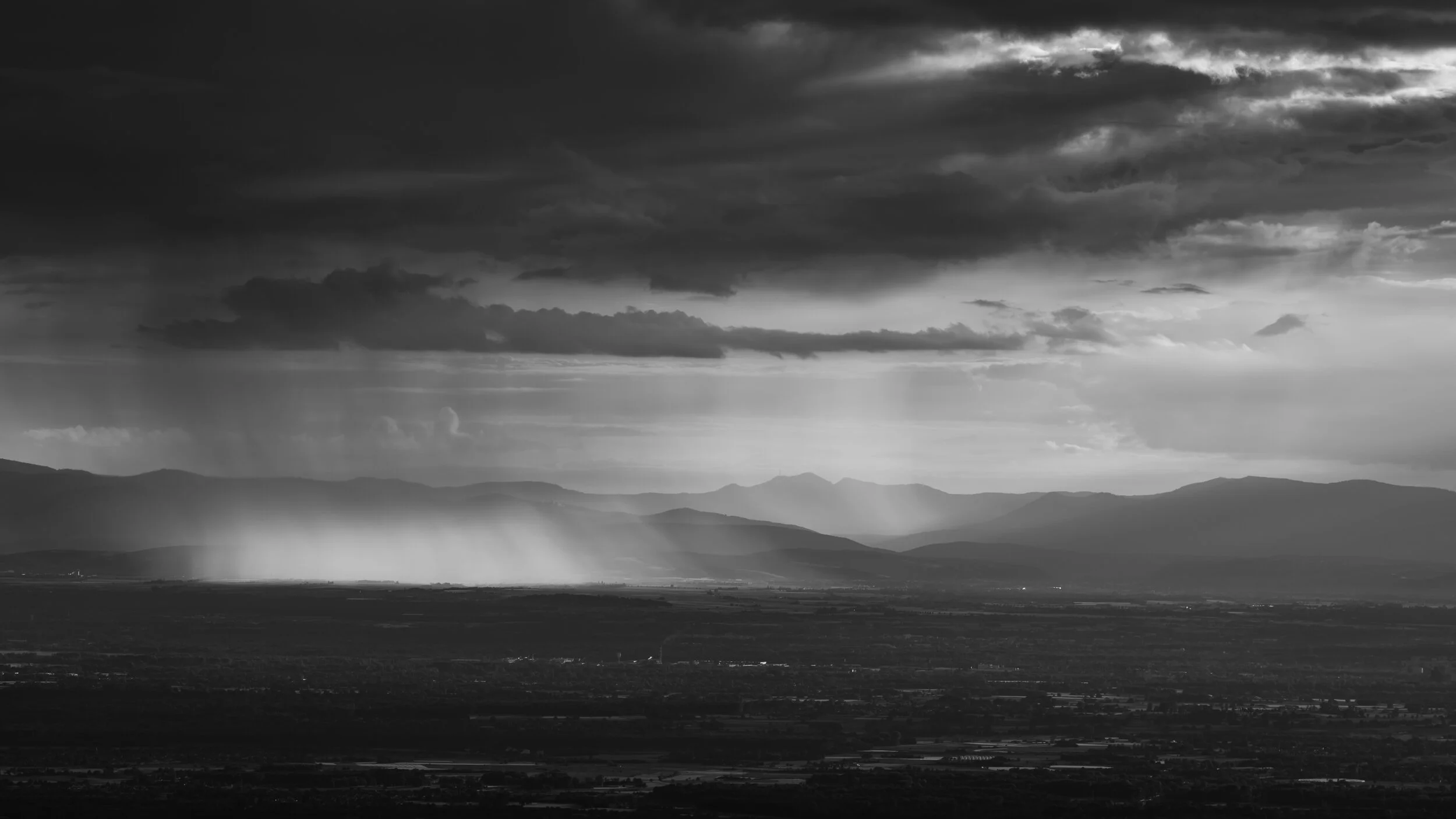 WASGENWALD BW (Copy)