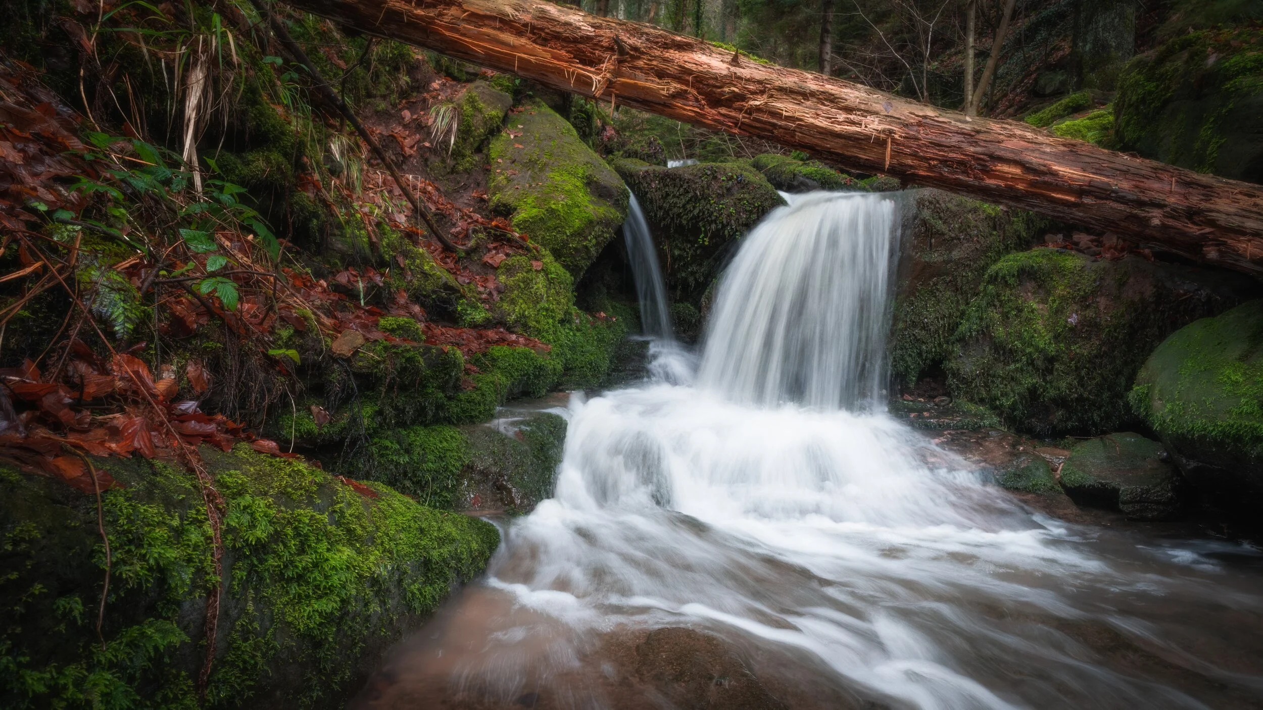 WOLFSSCHLUCHT (Copy)