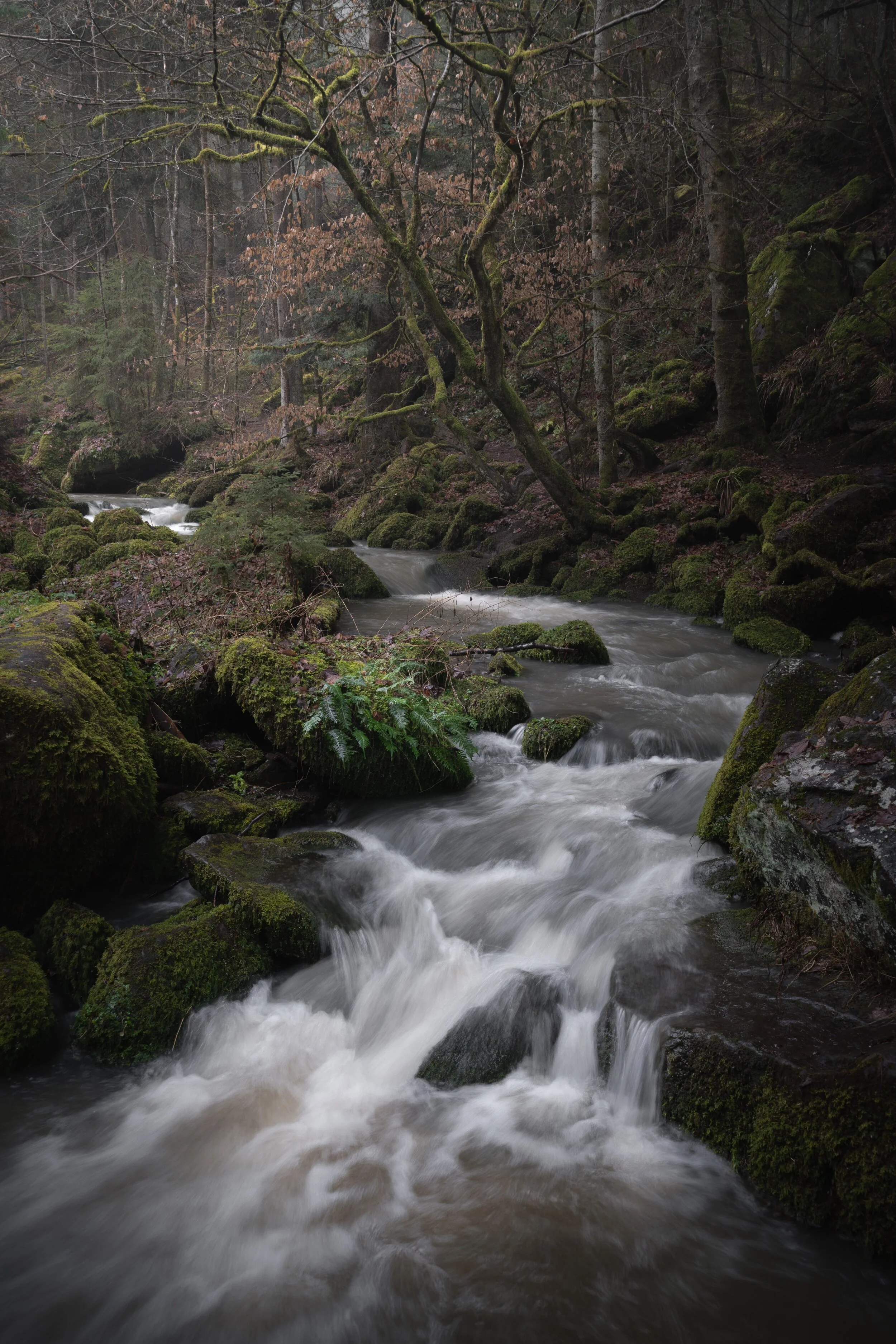 TRAUMLAND III (Copy)