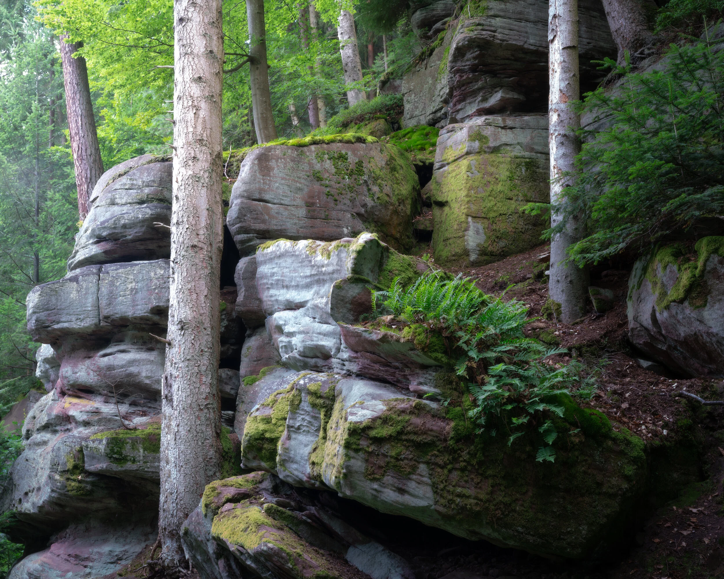 MÖNCHELSTEINE (Copy)