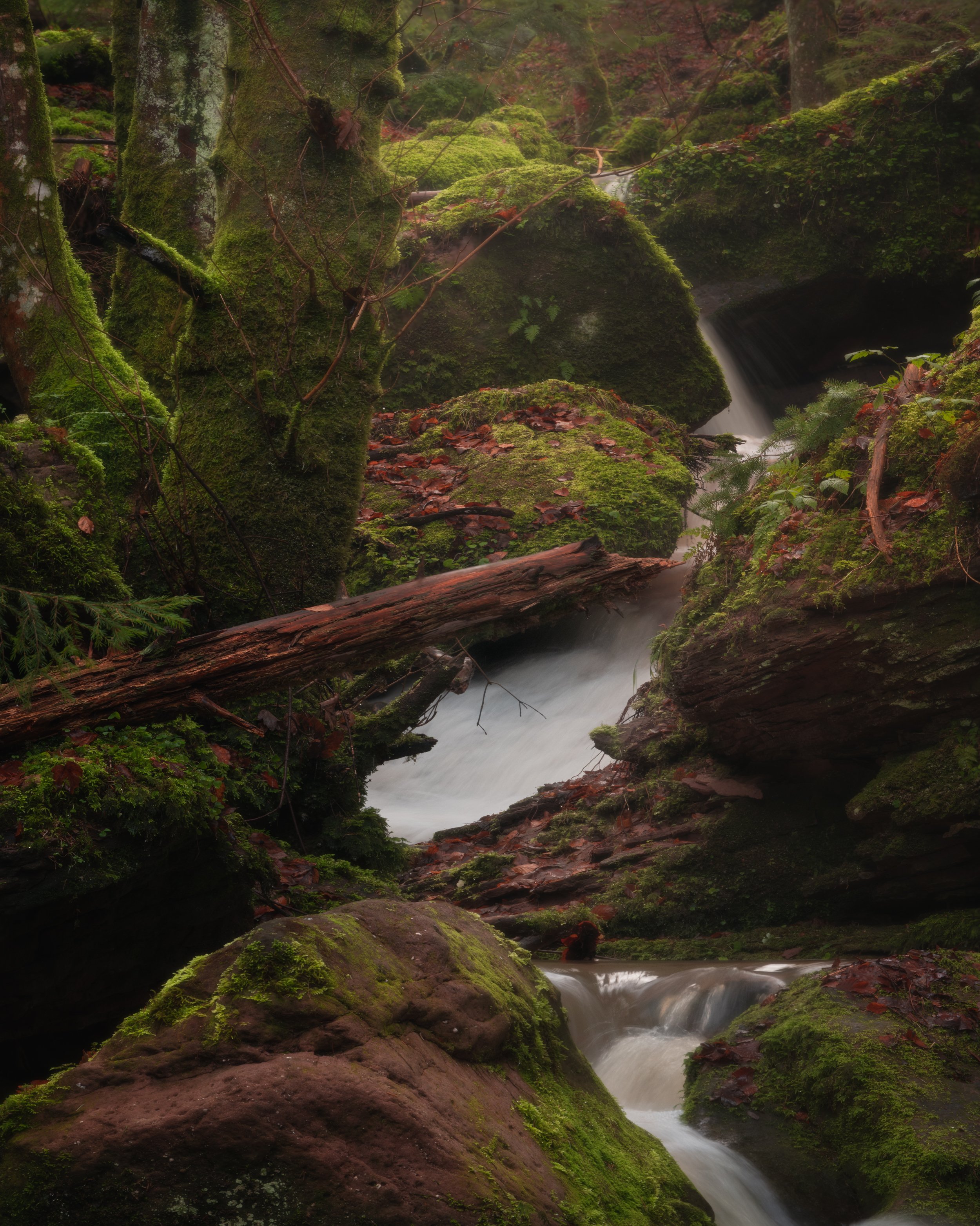 FORGOTTEN VALLEY III (Copy)