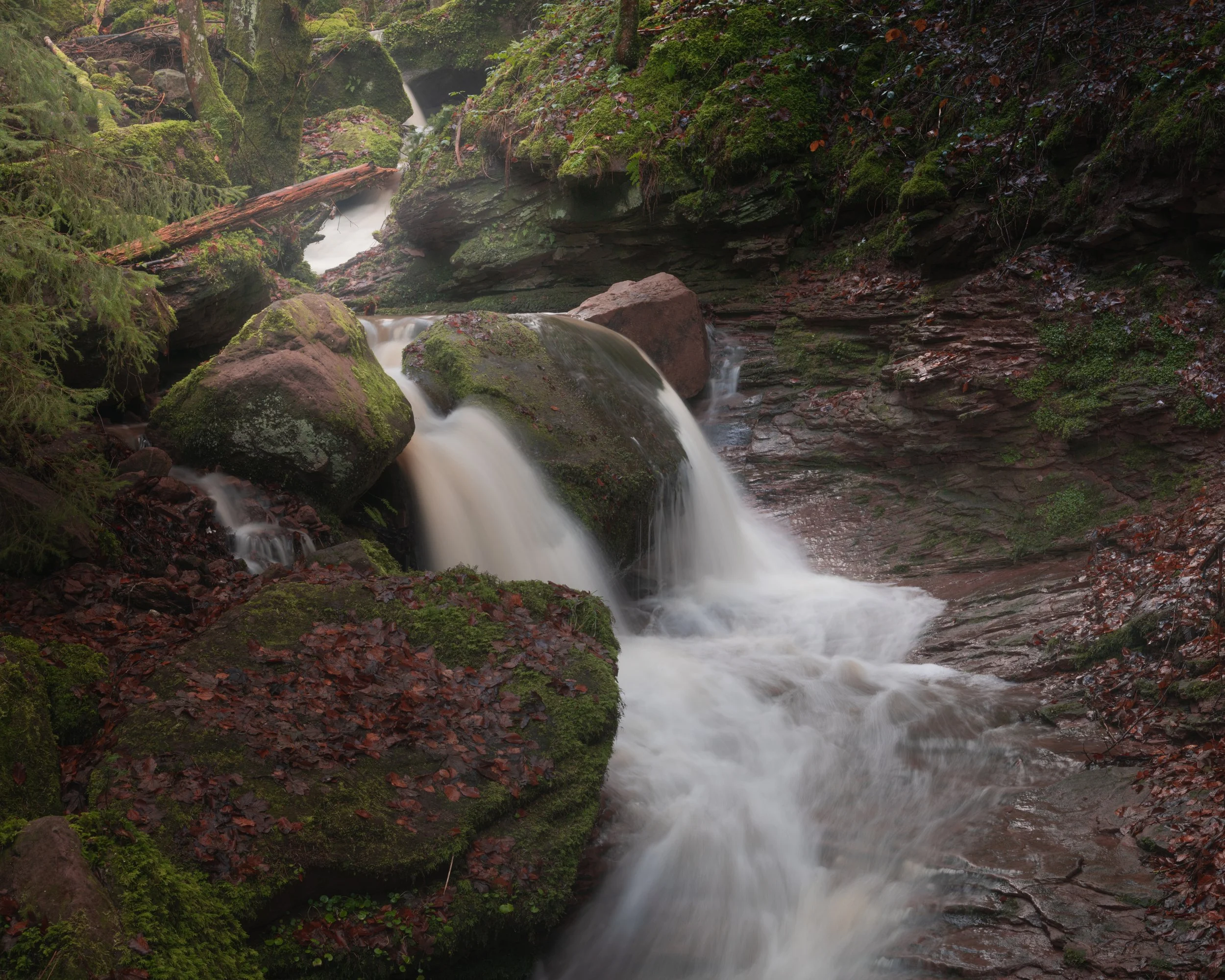 FORGOTTEN VALLEY IV (Copy)