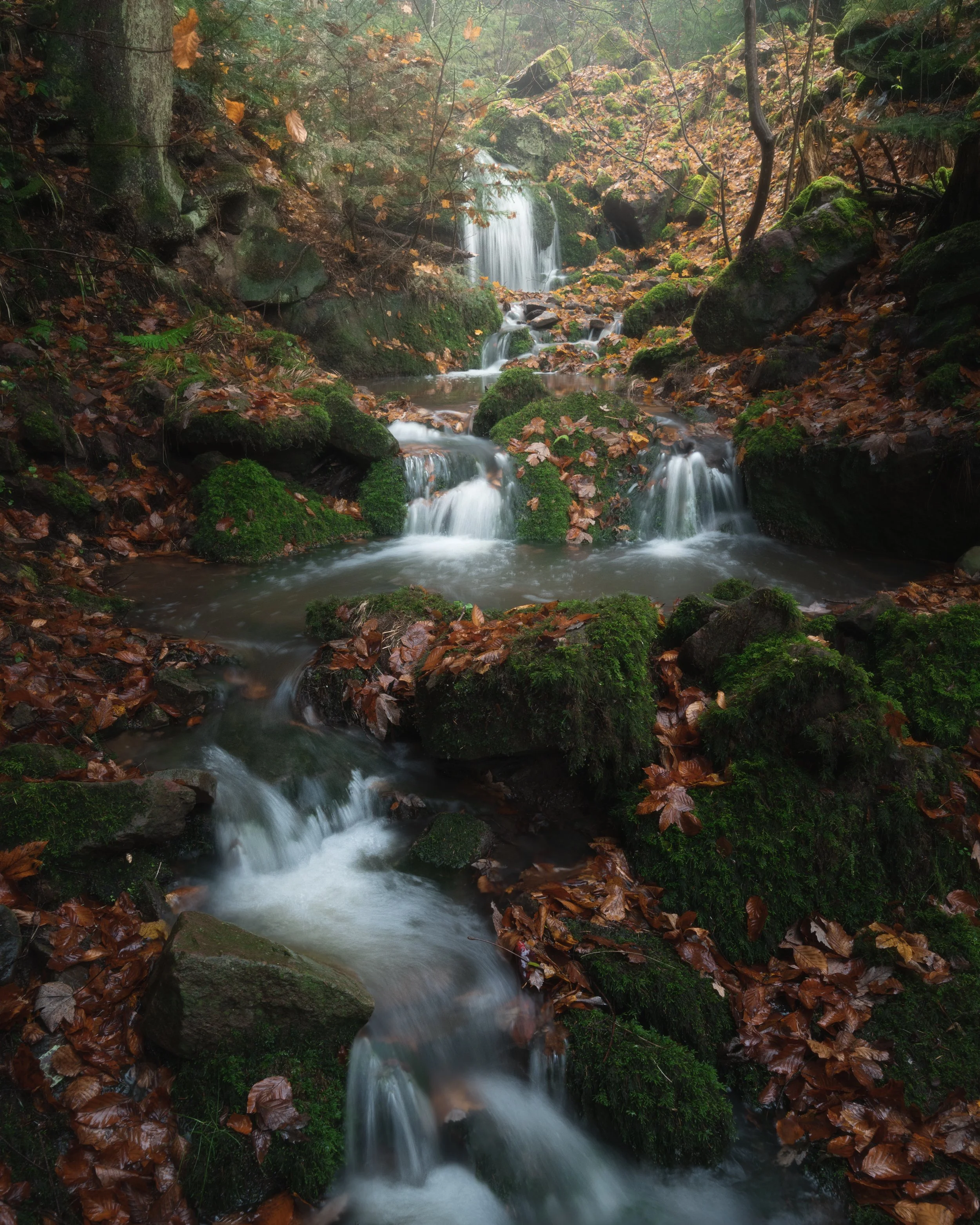 DOLLBRONNER KLINGE (Copy)