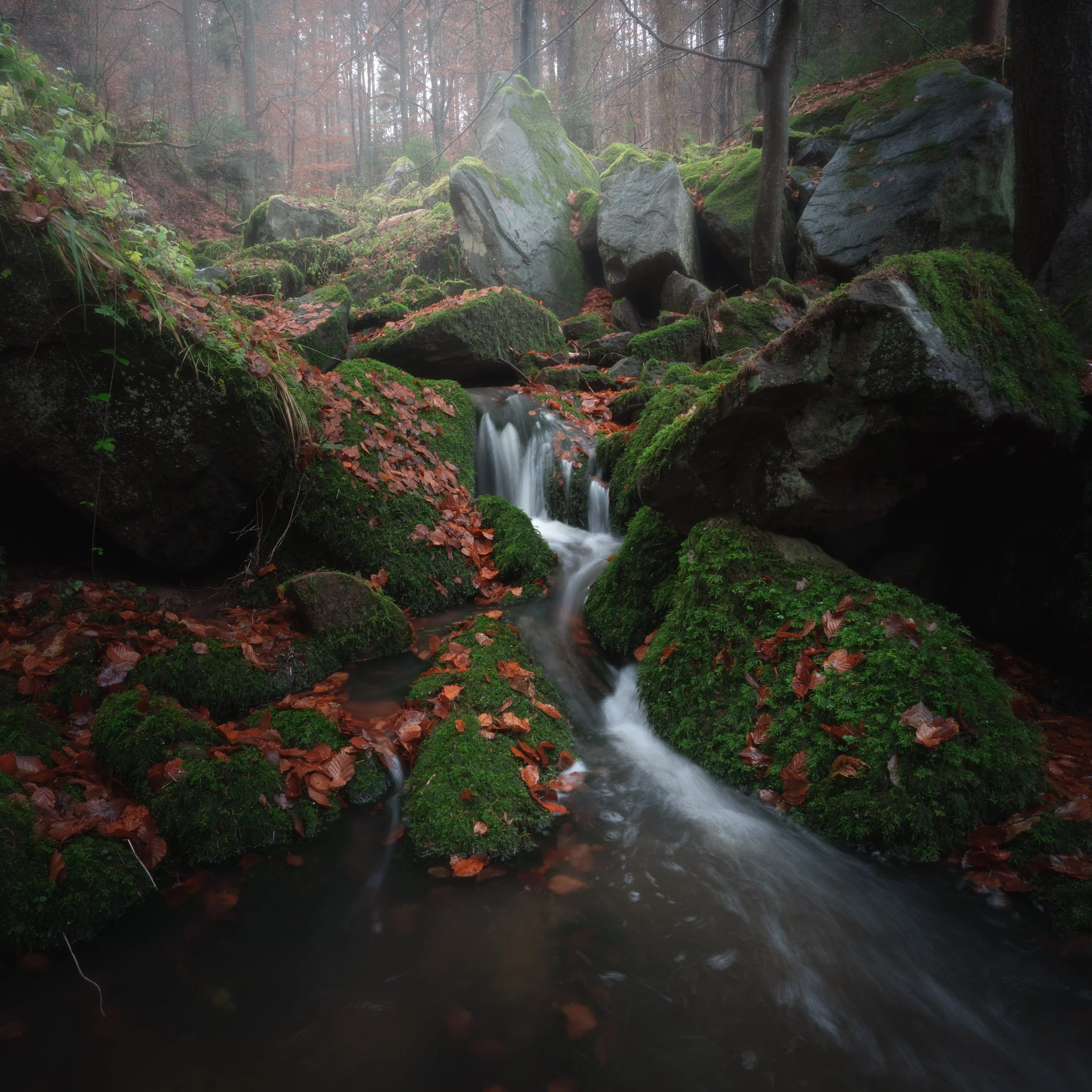 DOLLBRONNER KLINGE II (Copy)