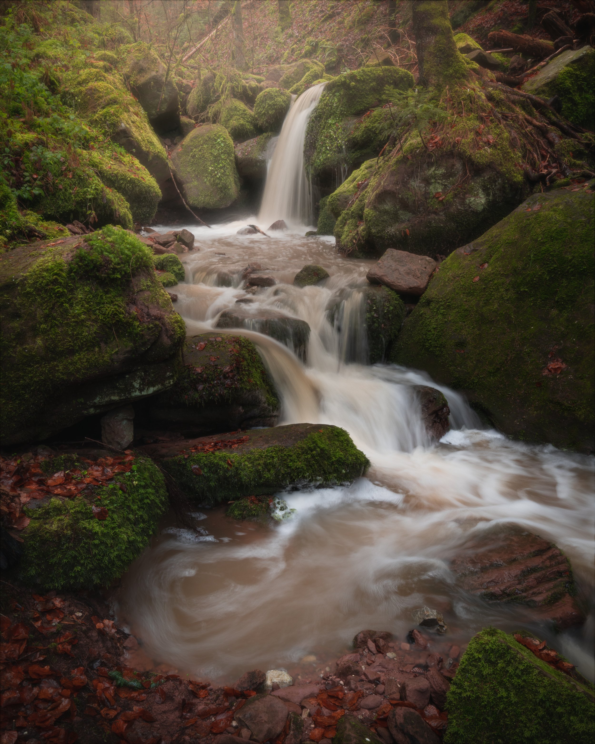 FORGOTTEN VALLEY II (Copy)