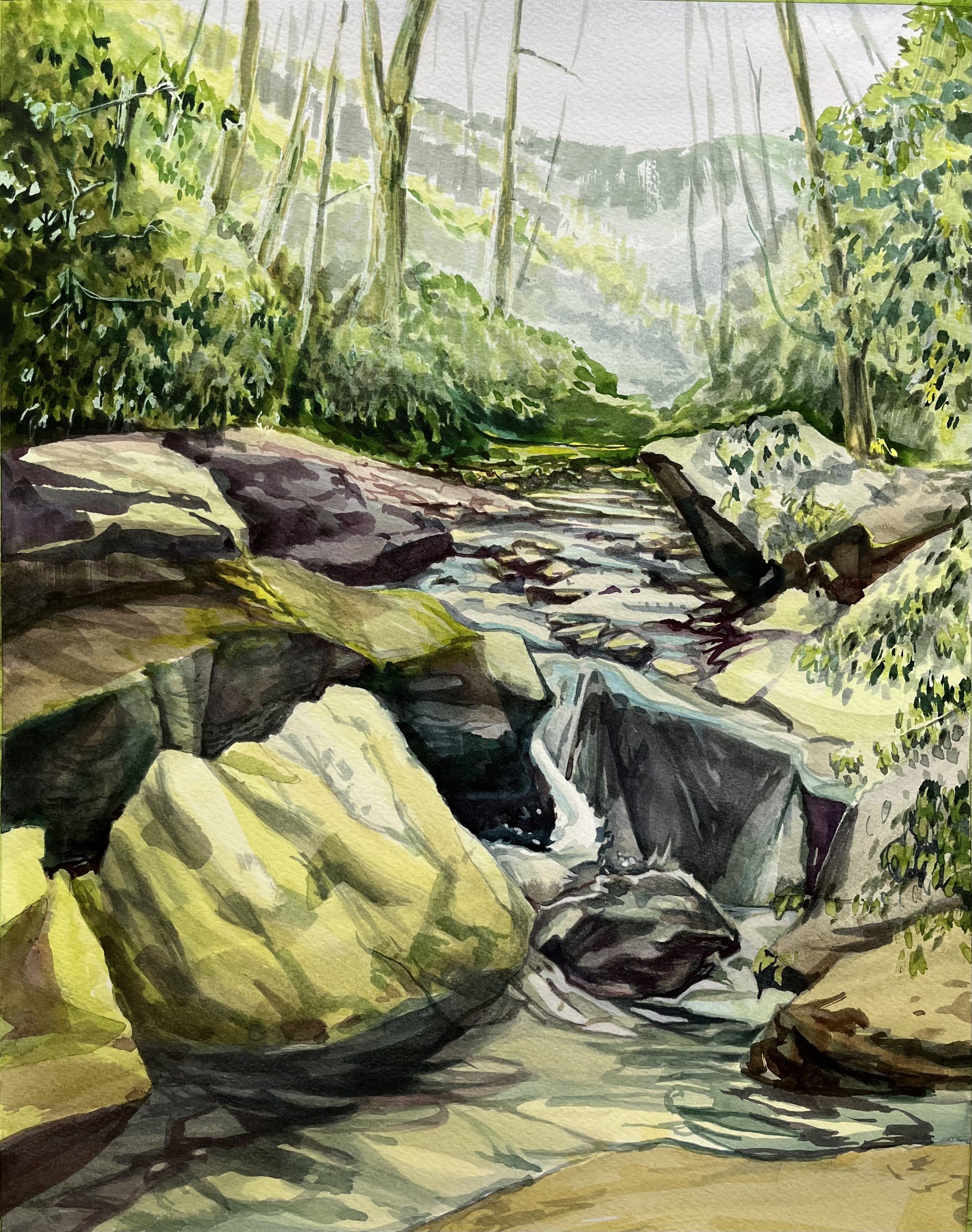 Rhododendron Run, 14"x18"