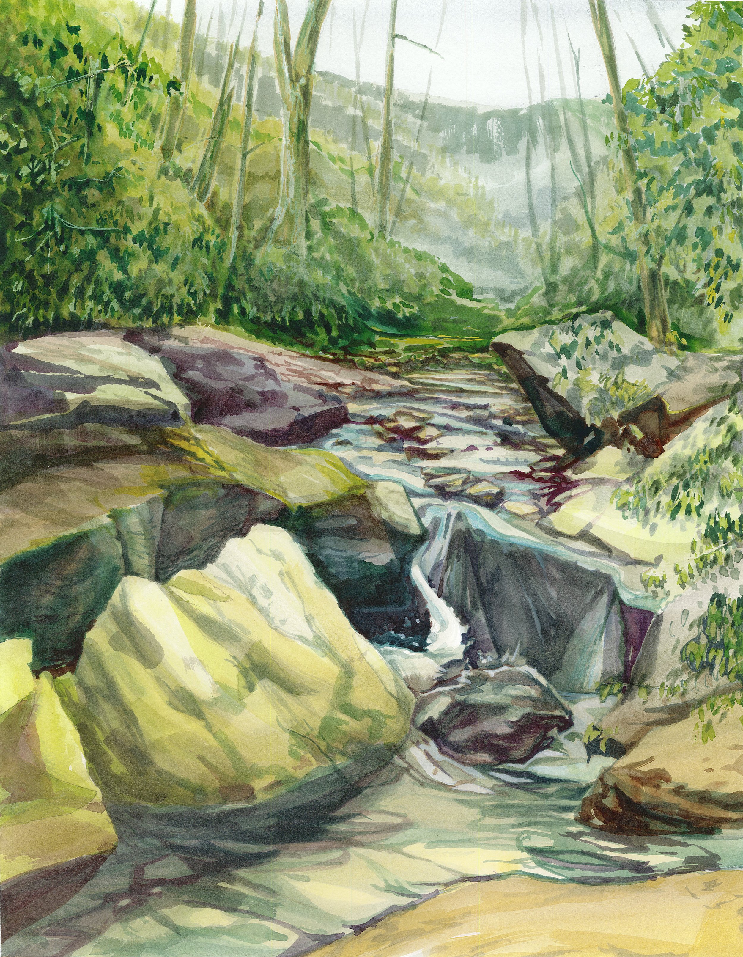 Rhododendron-Run.jpg