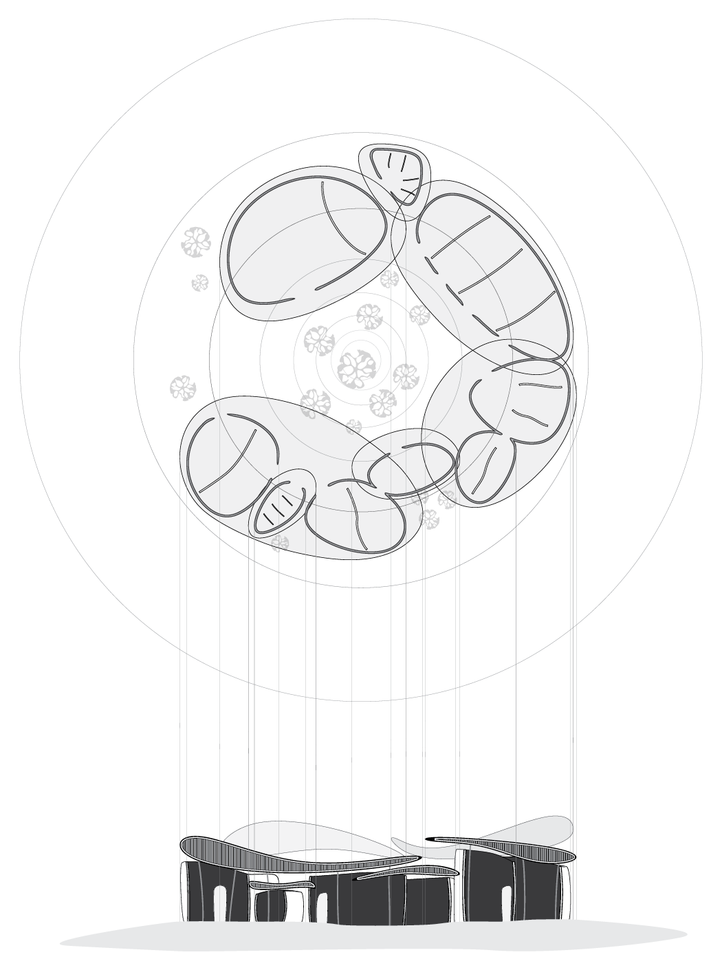 roof plan and section