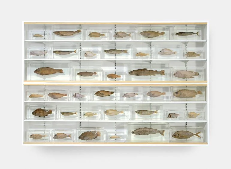 Damien Hirst, Isolated Elements Swimming in the Same Direction for the Purpose of Understanding (Left) , 1991
