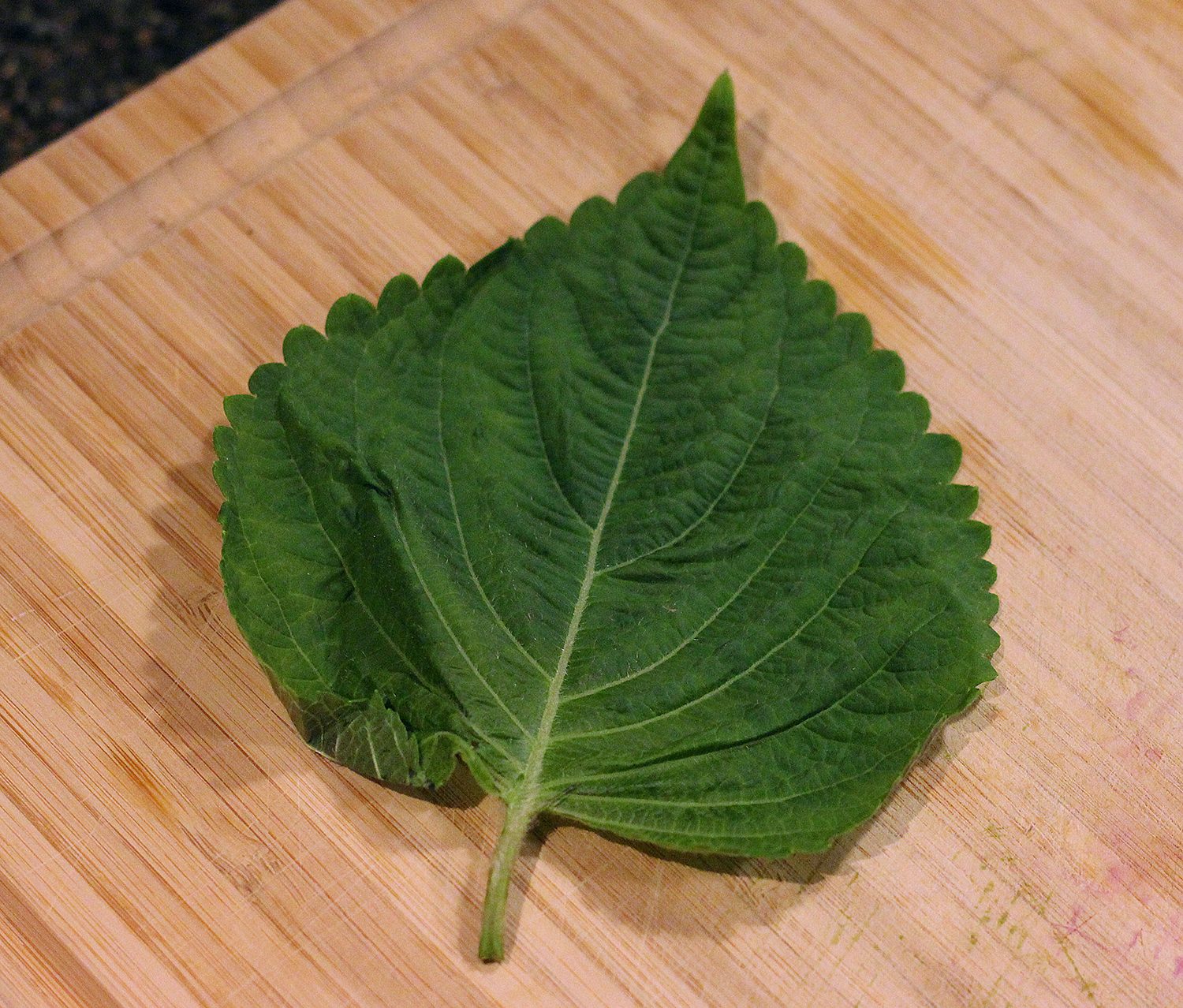 Perilla leaf. They're each about the size of your hand (unless you have tiny POTUS hands).