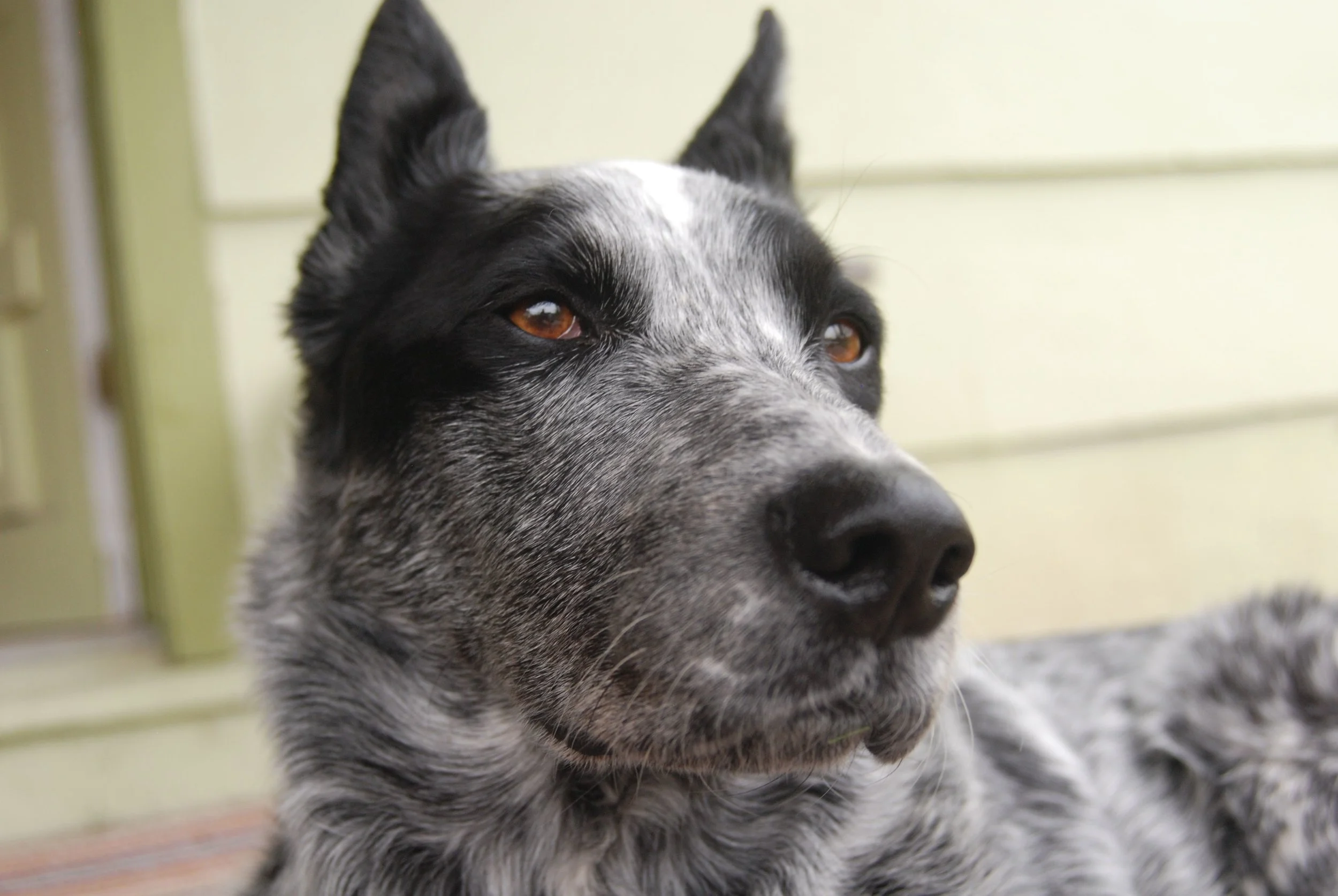 Lou looking ahead to the next adventure.