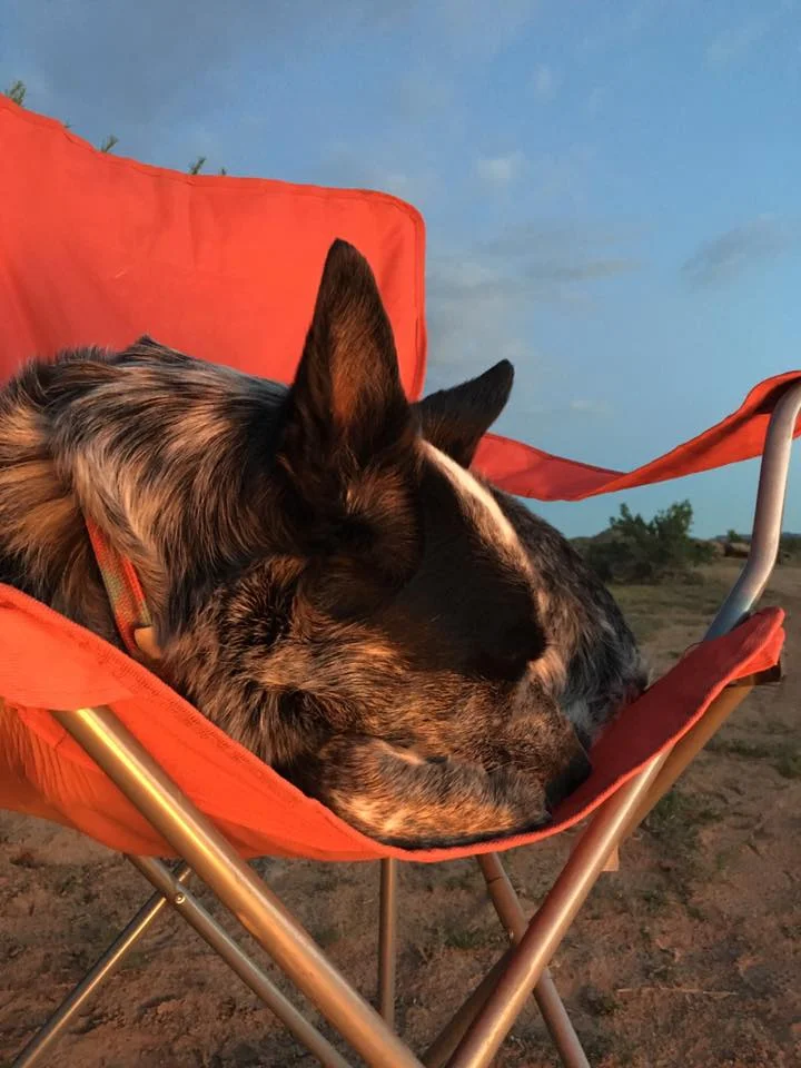 Lou asleep in Moab.