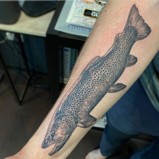Trout Buddy by @tattoo_ash! Made with love at @aethertattooclub #aethertattooclub #atcbzn #bozeman #bozemanmontana #fishtattoo #trouttattoo #fishing #fishingtattoo #flyfishing