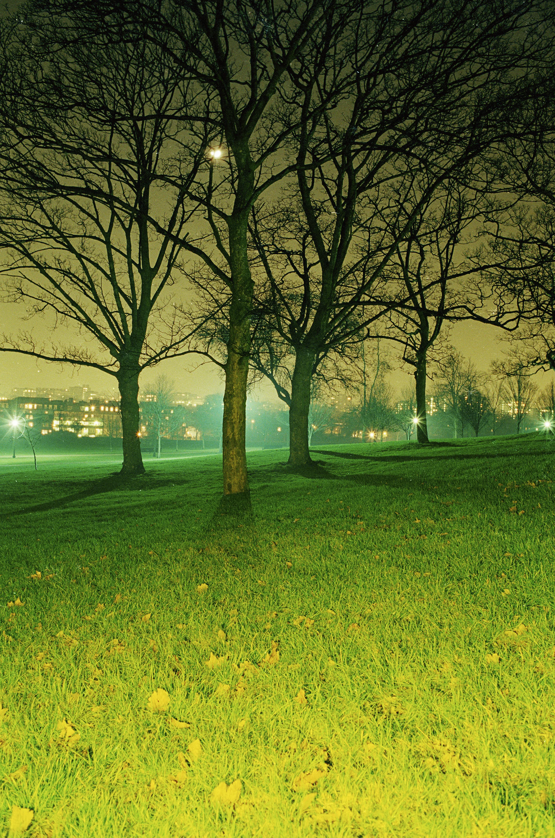 Primrose Hill 2.jpg