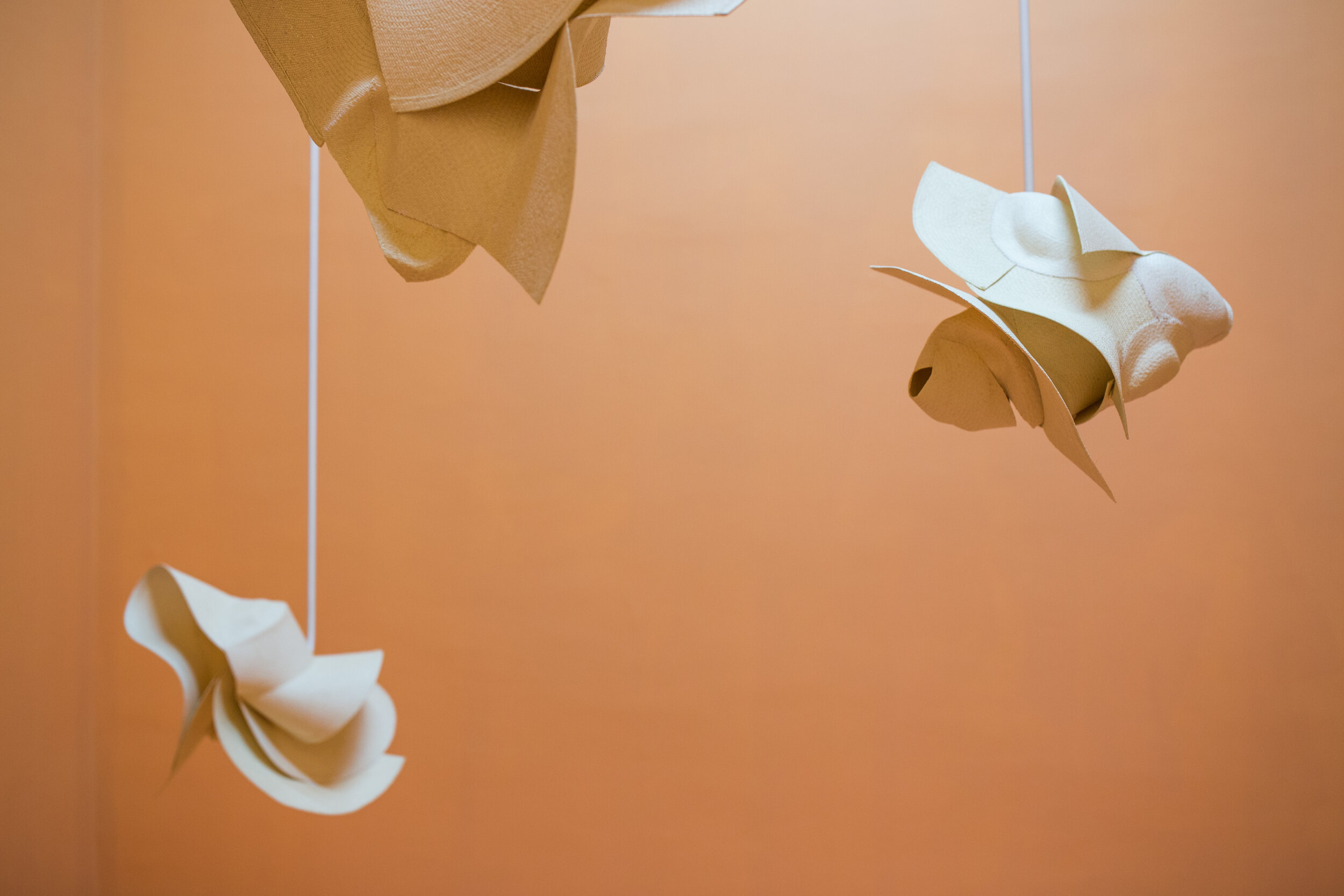 Rasgos de Pluma instalacion.jpg