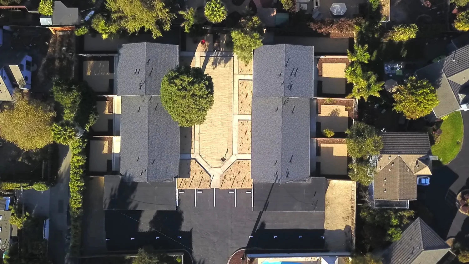 1Drone4.jpg