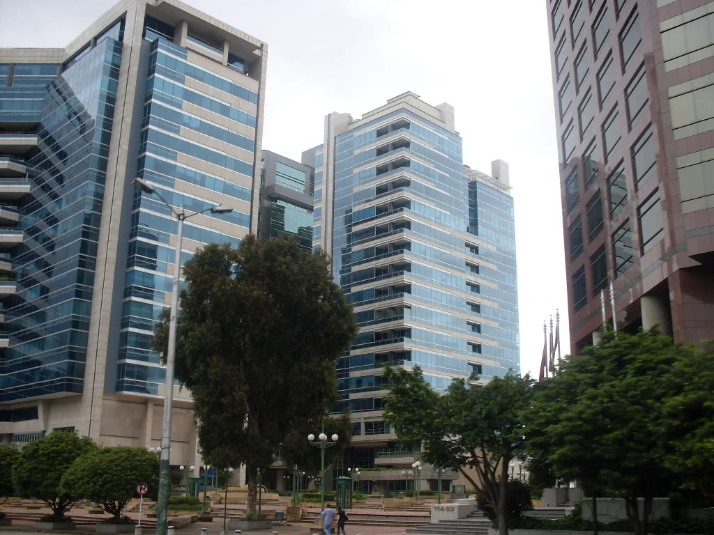 SDC10312.jpg