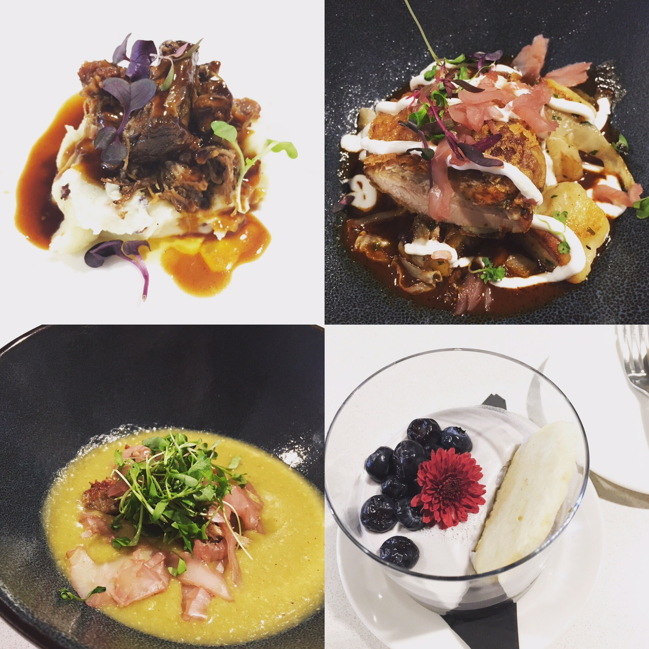 oxtail, pork, pierogies and more at The Burnham in the Hilton Downtown Cleveland